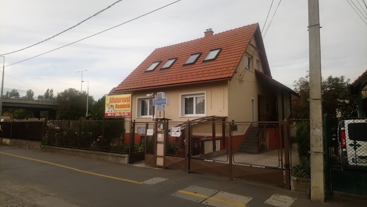 MOZAIK Állatorvosi Rendelő rendelő