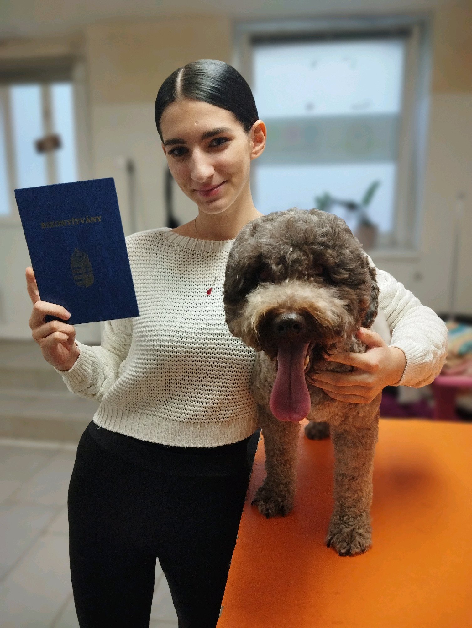 Bol-Dog Kutyakozmetika