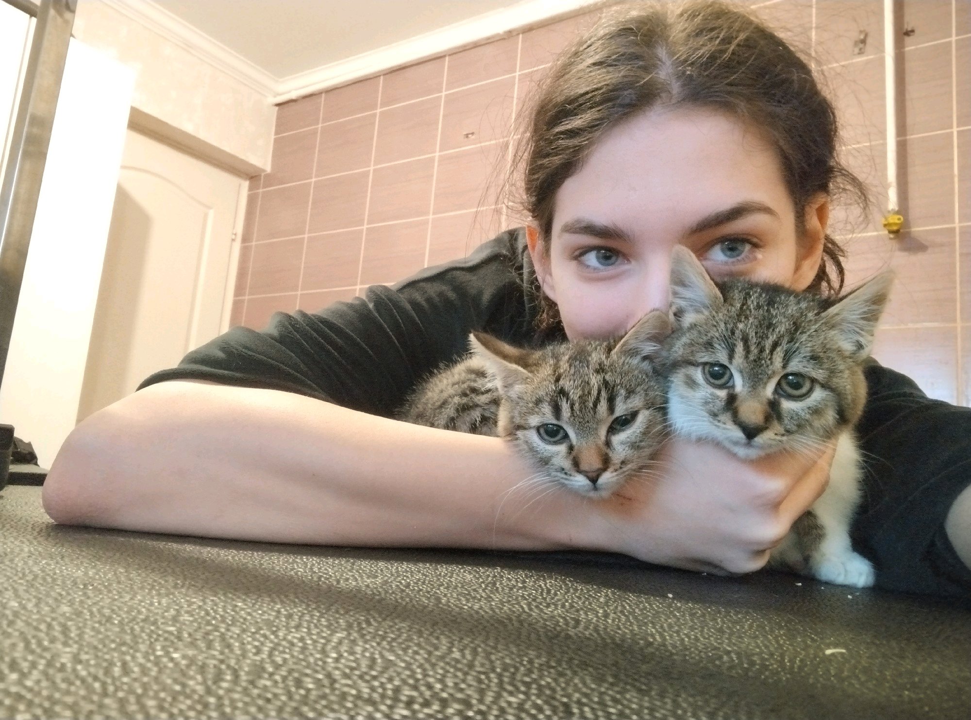 Bol-Dog Kutyakozmetika galéria