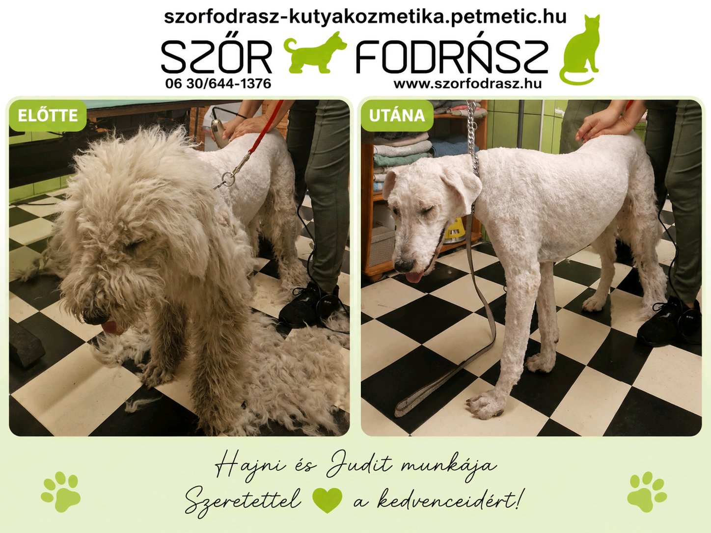Szőrfodrász galéria