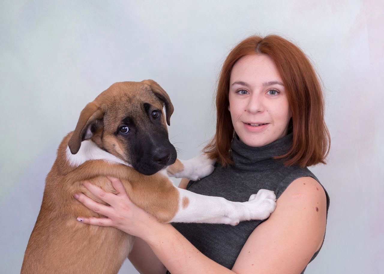 Luca kutyakozmetikája galéria