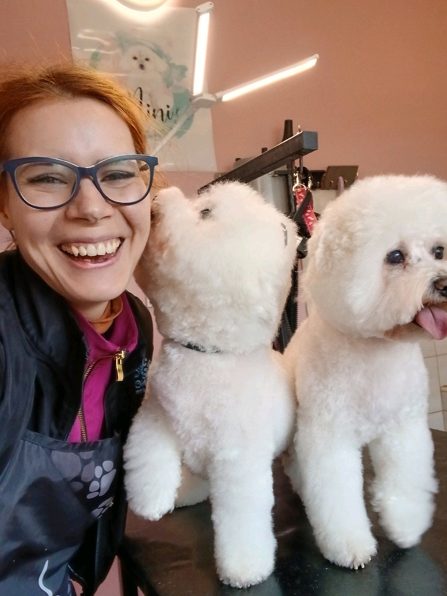 Mini Kutyakozmetika Debrecen