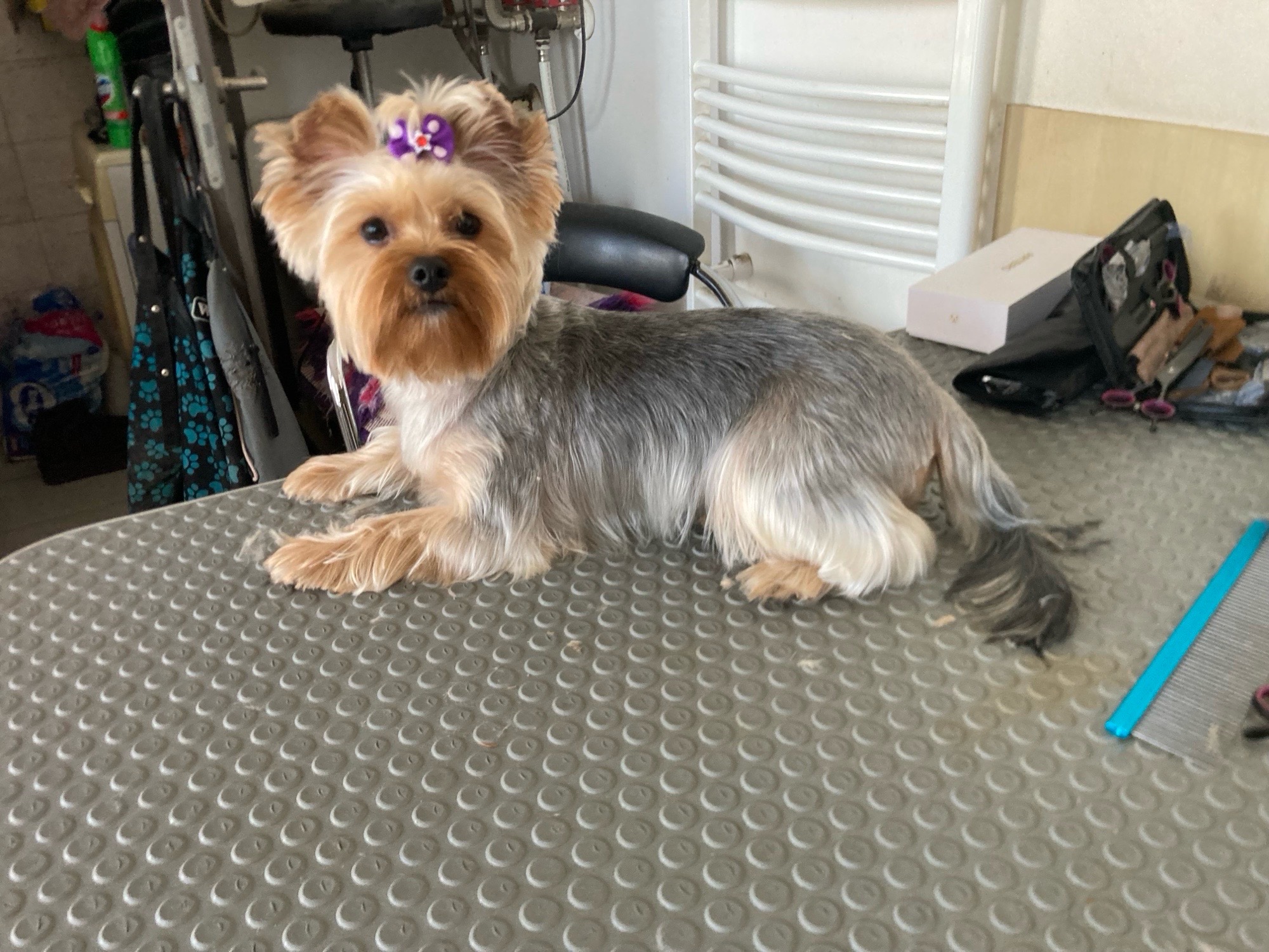 Vivi Wellness galéria