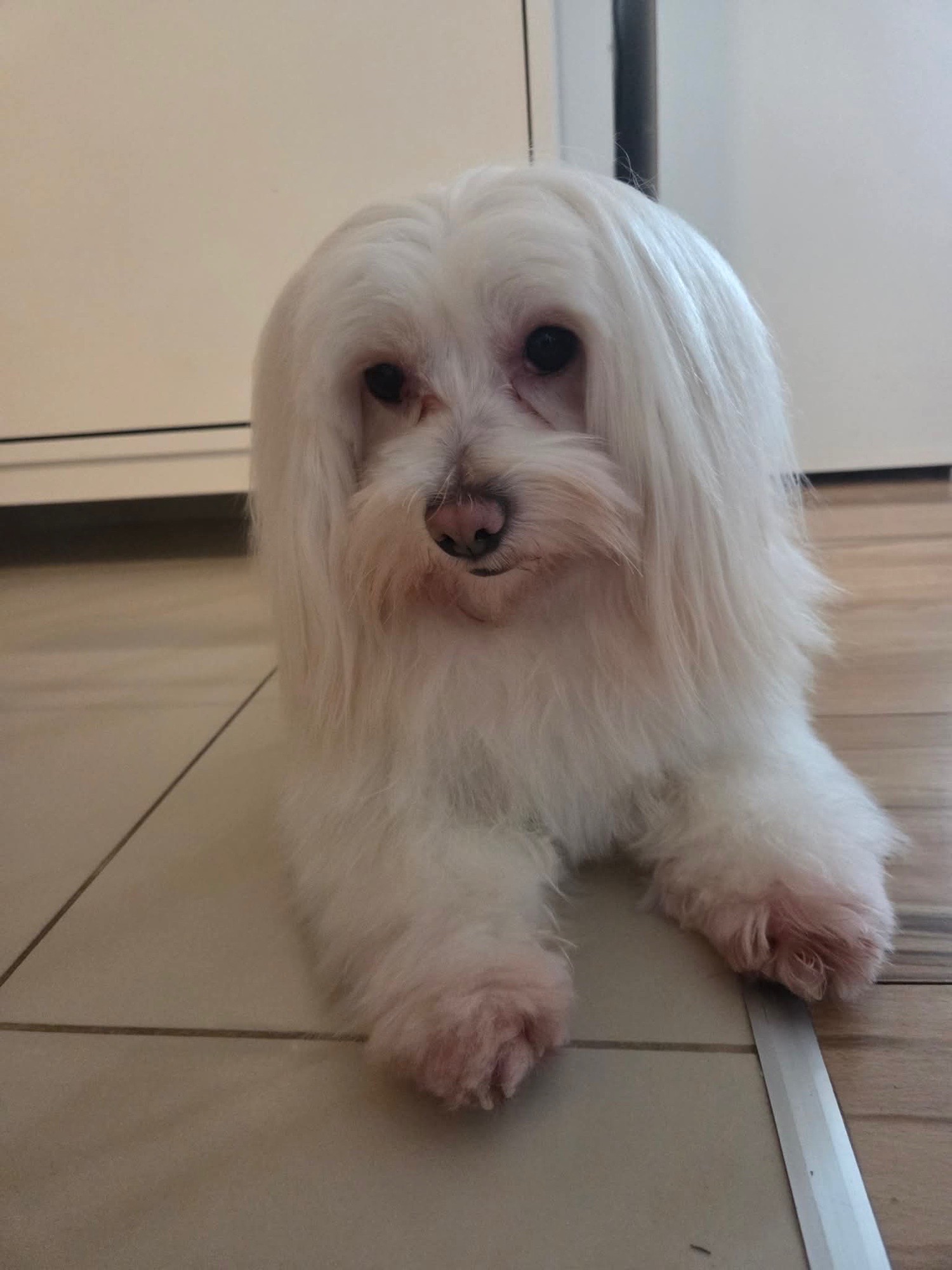 Vivi Wellness galéria