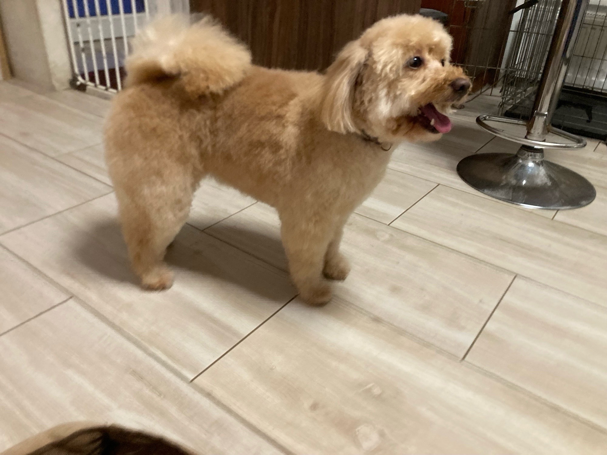 Vivi Wellness galéria