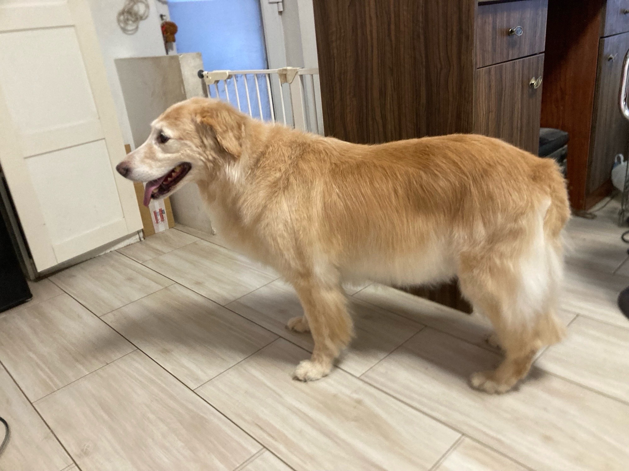 Vivi Wellness galéria