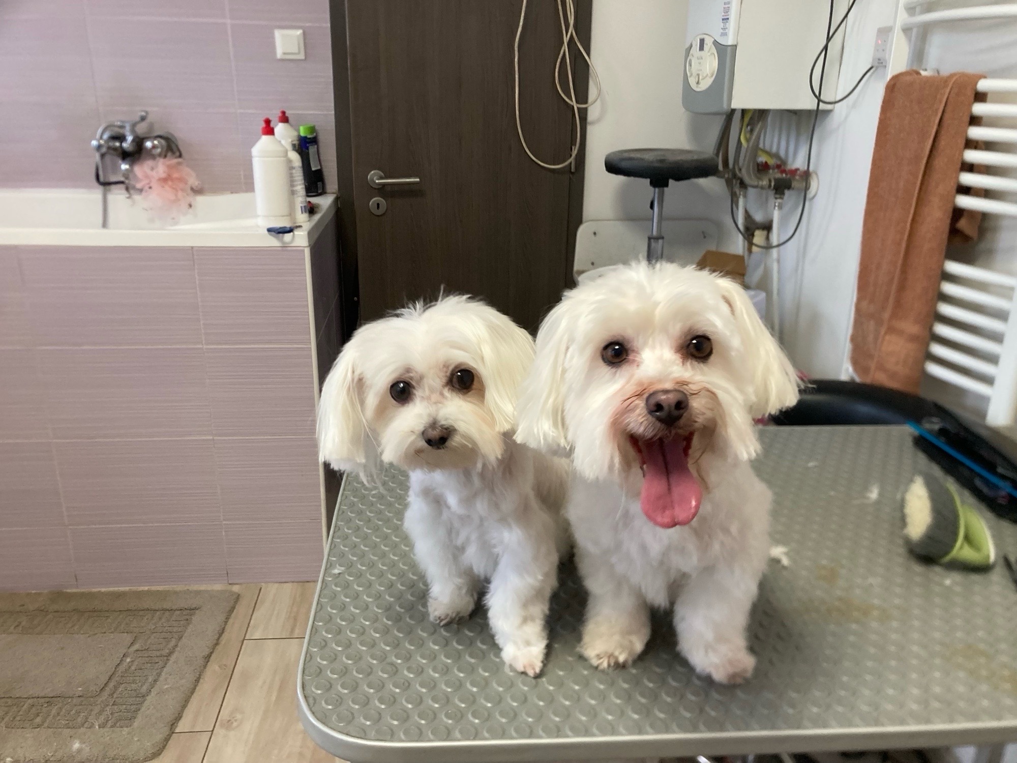 Vivi Wellness galéria