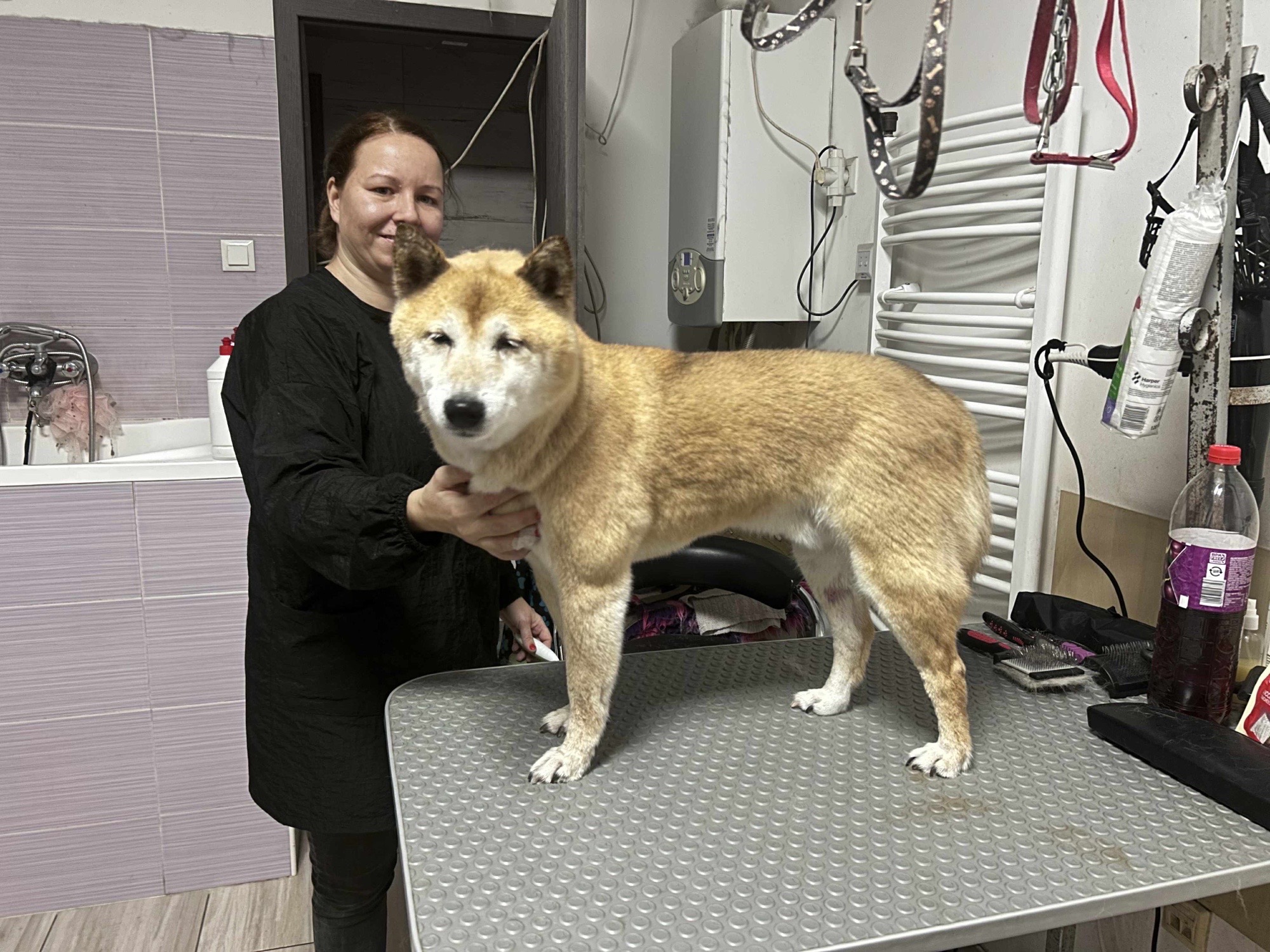 Vivi Wellness galéria