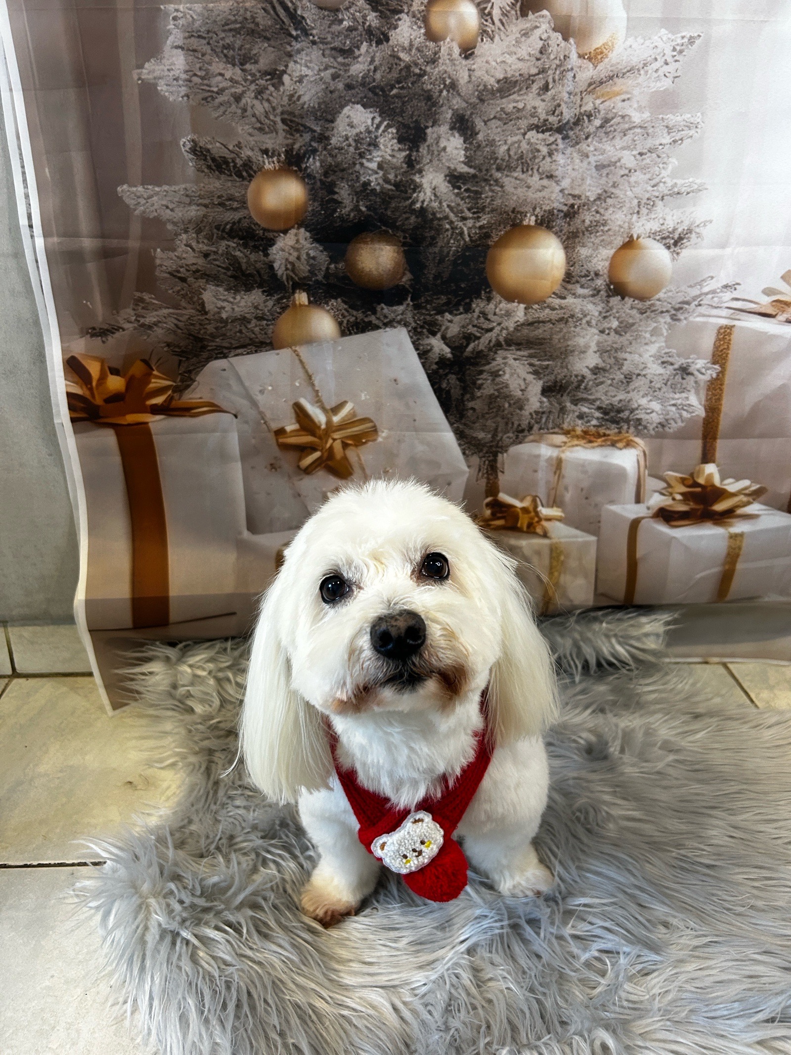 Kerepeczi-Kemény Kinga galéria