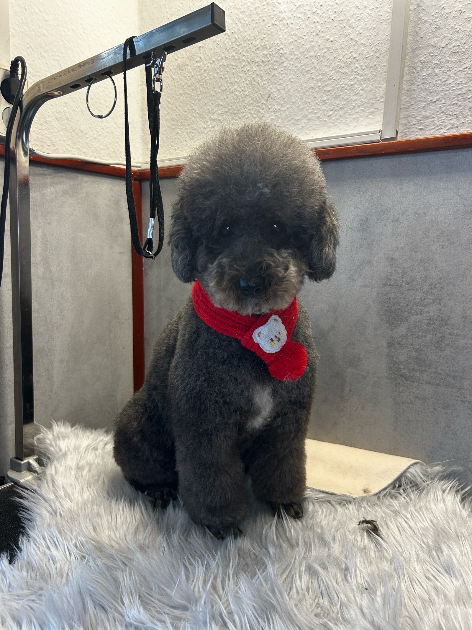 Kerepeczi-Kemény Kinga galéria