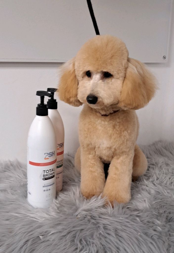 Farkas Piroska galéria