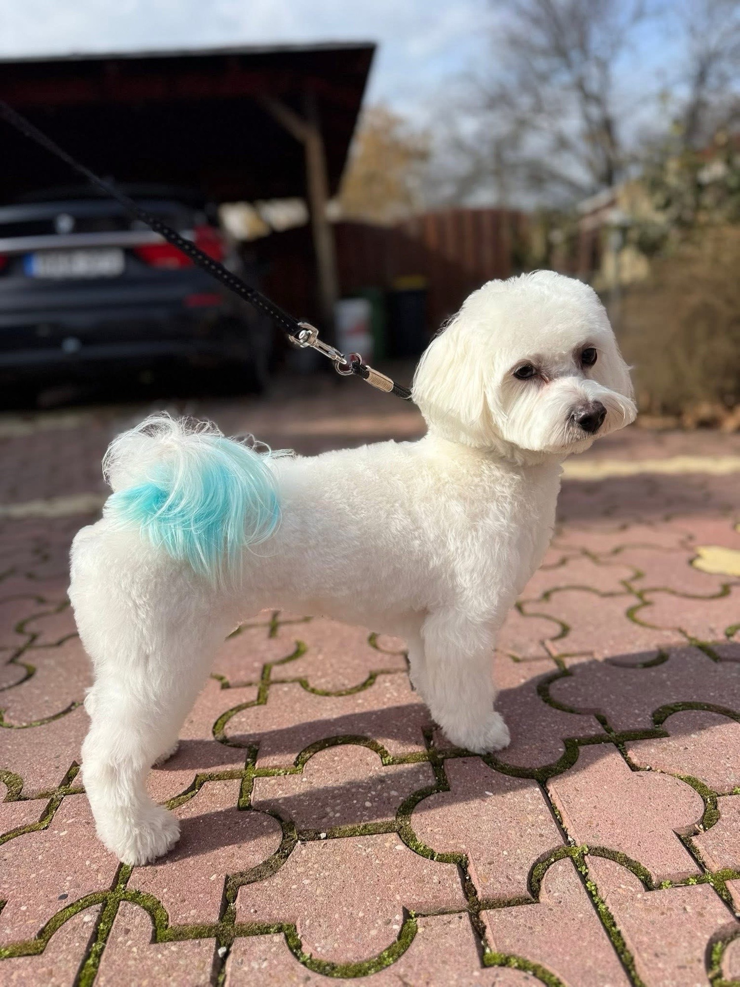 Loretta Rigó galéria