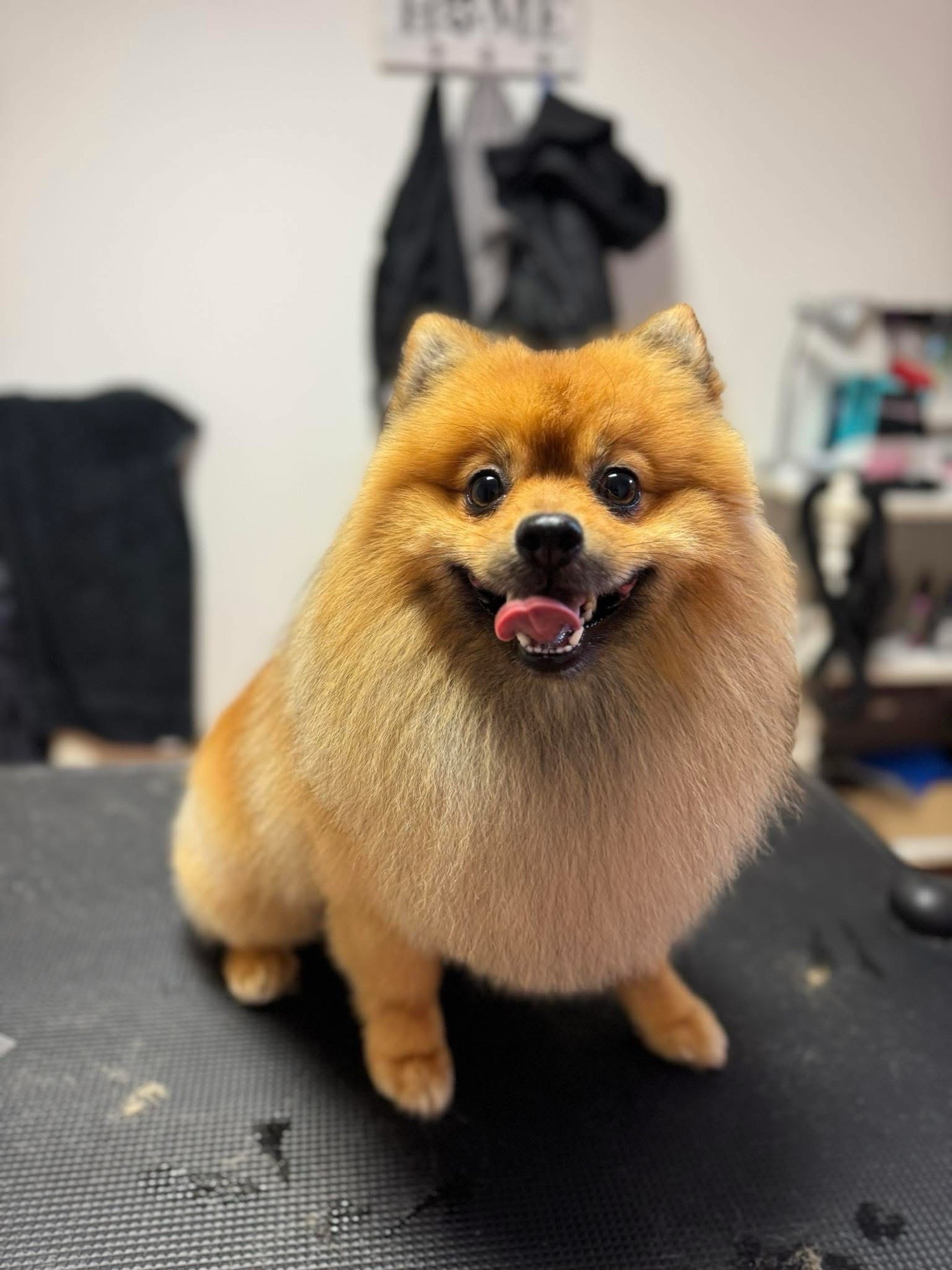 Loretta Rigó galéria