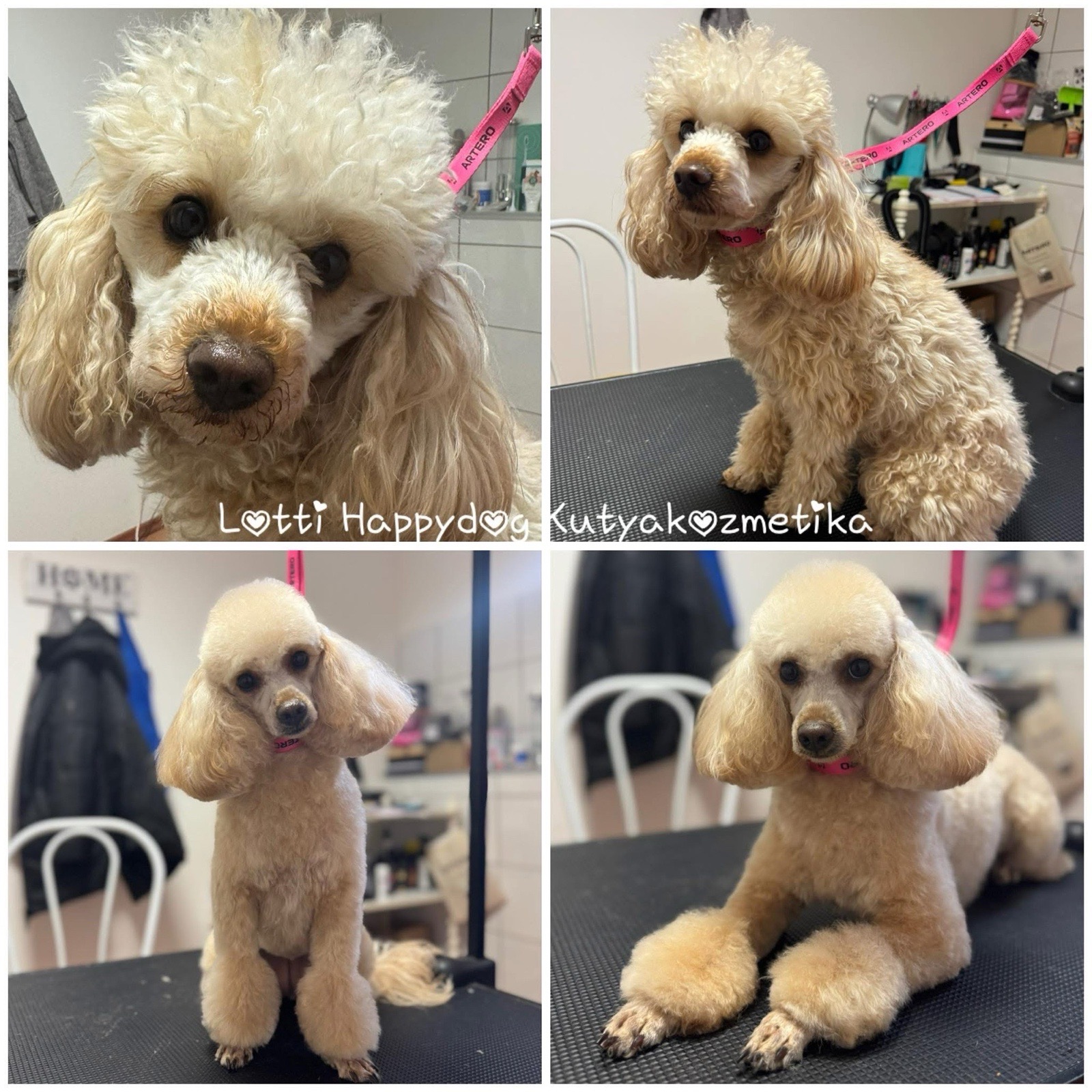 Loretta Rigó galéria