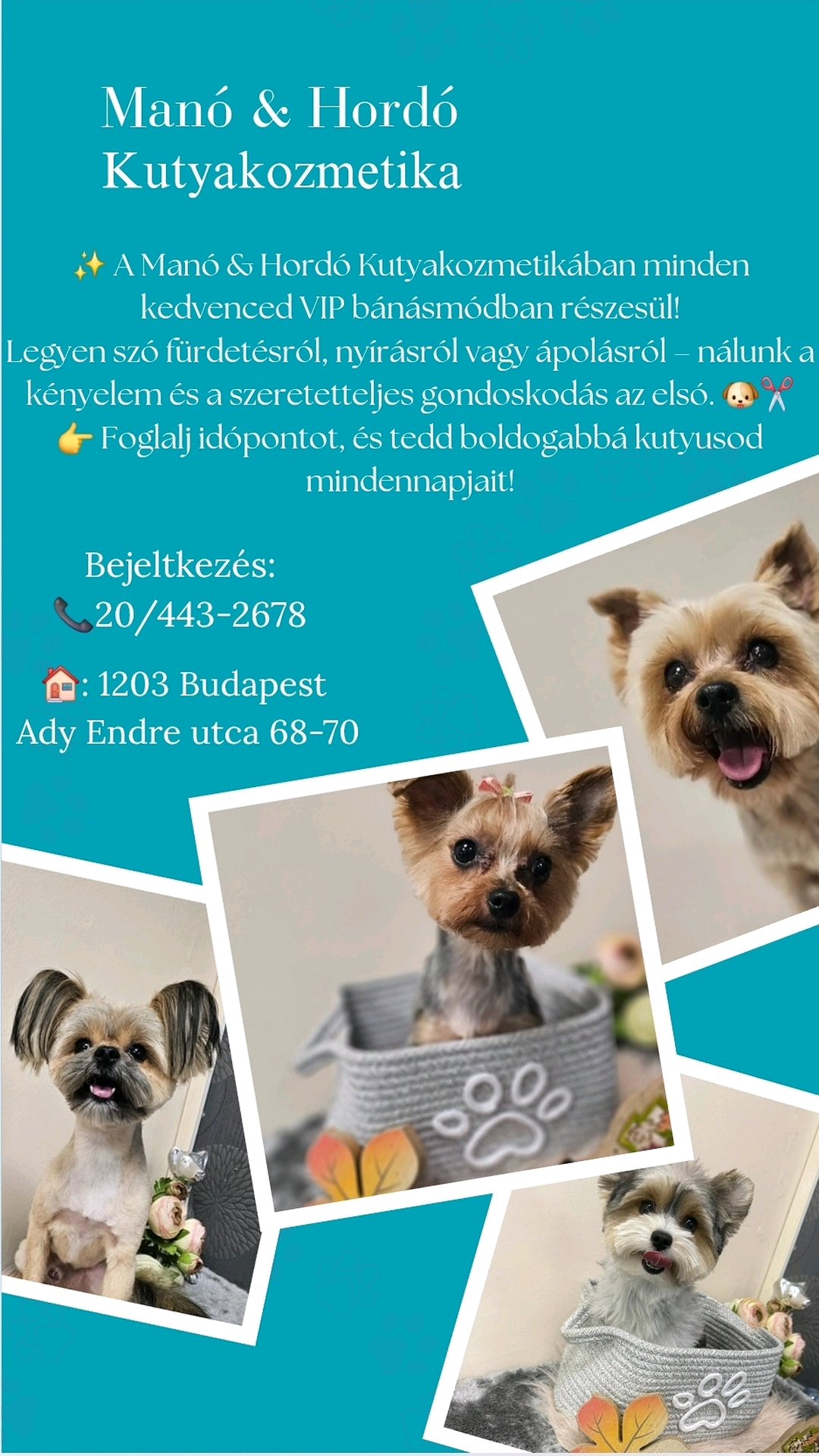 Manó & Hordó Kutyakozmetika galéria