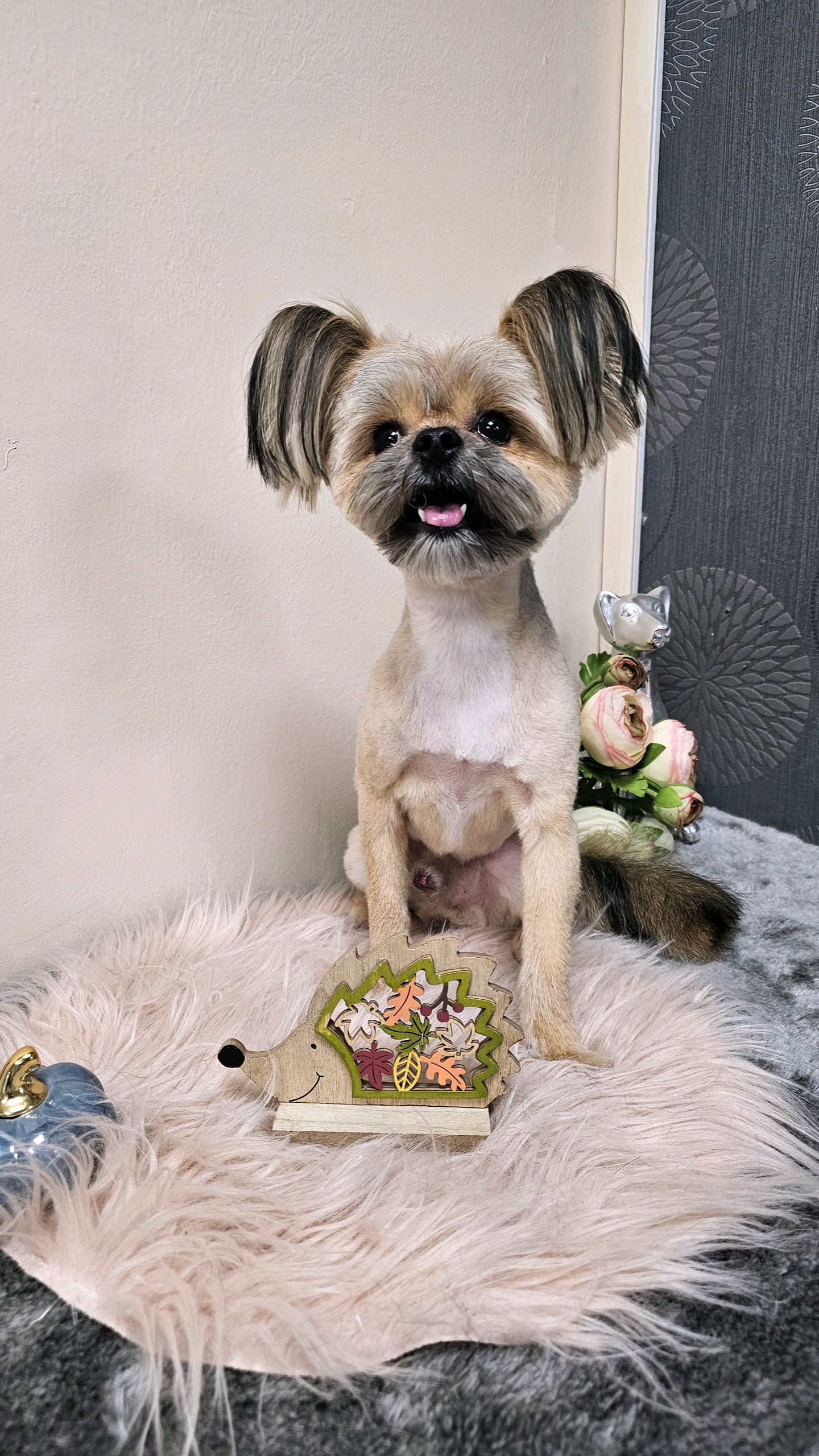 Manó & Hordó Kutyakozmetika galéria