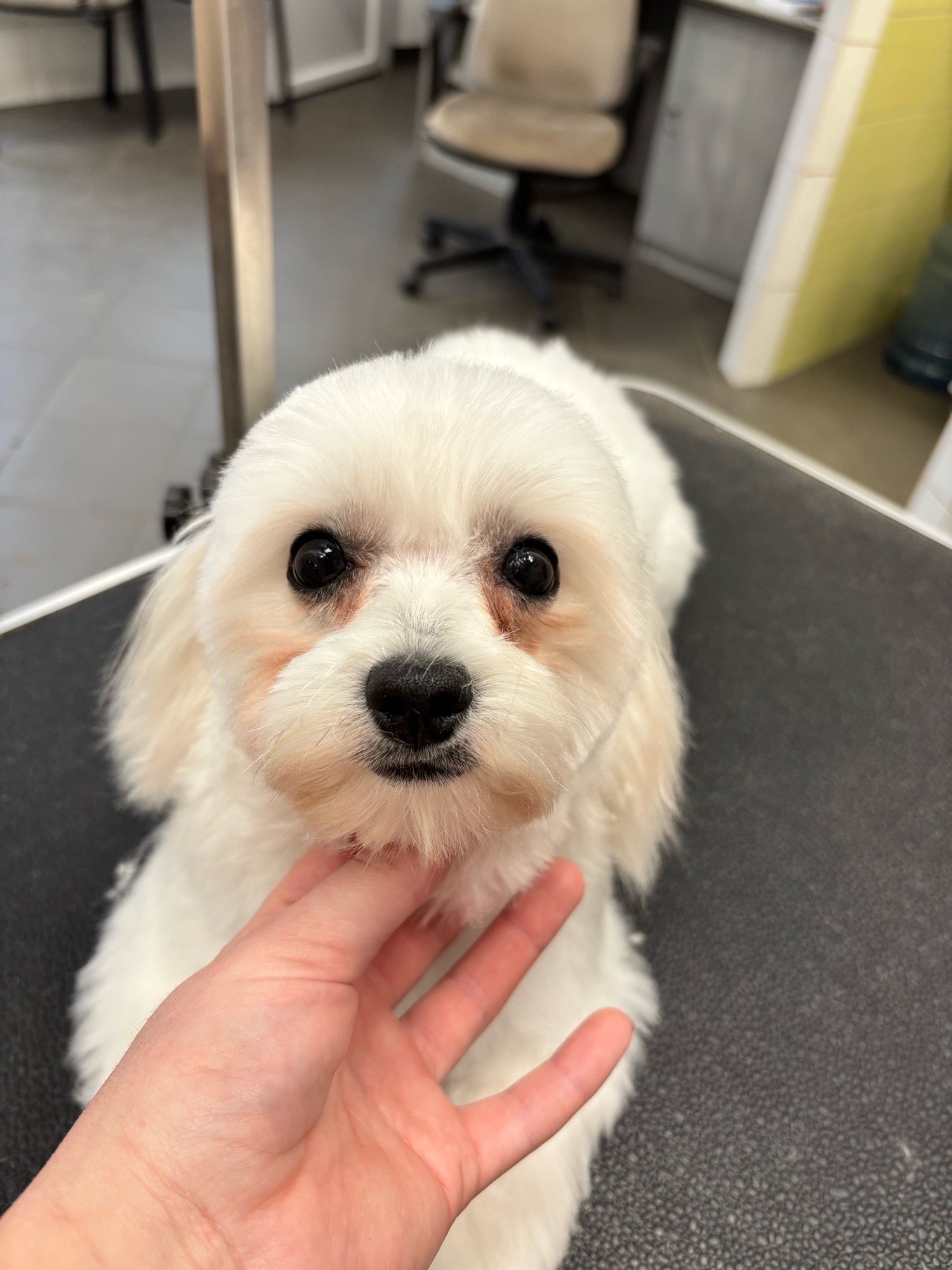 Révész Dalma galéria