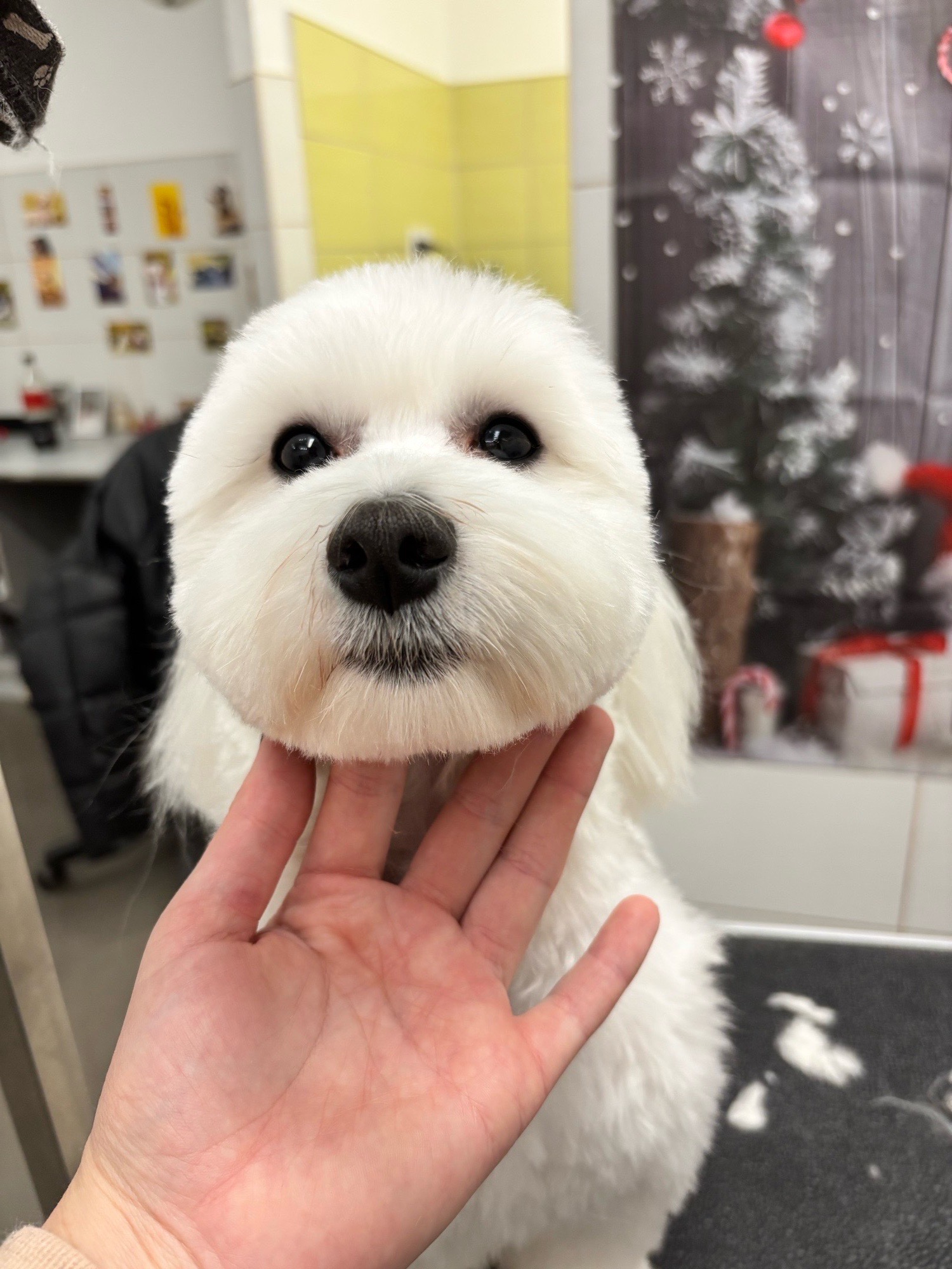 Révész Dalma galéria