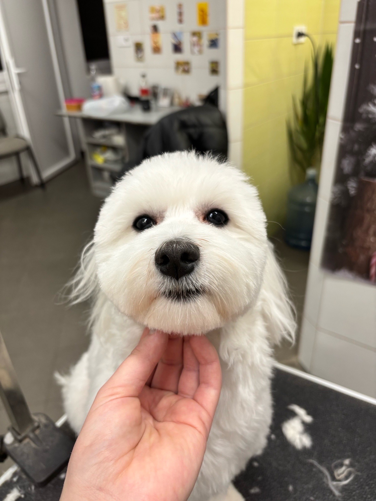 Révész Dalma galéria