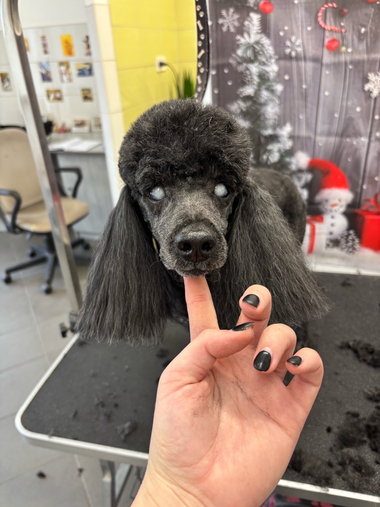 Révész Dalma galéria