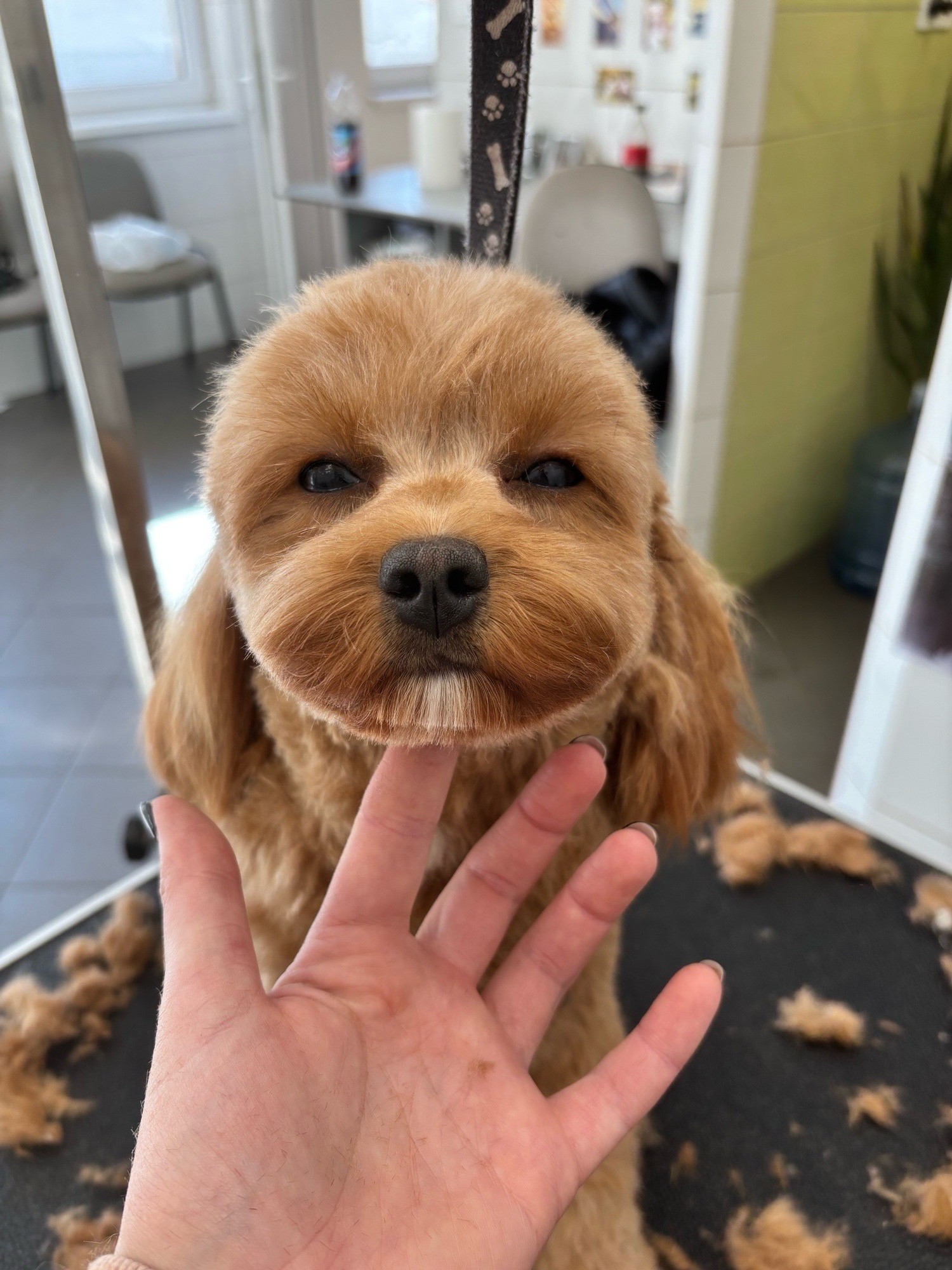 Révész Dalma galéria