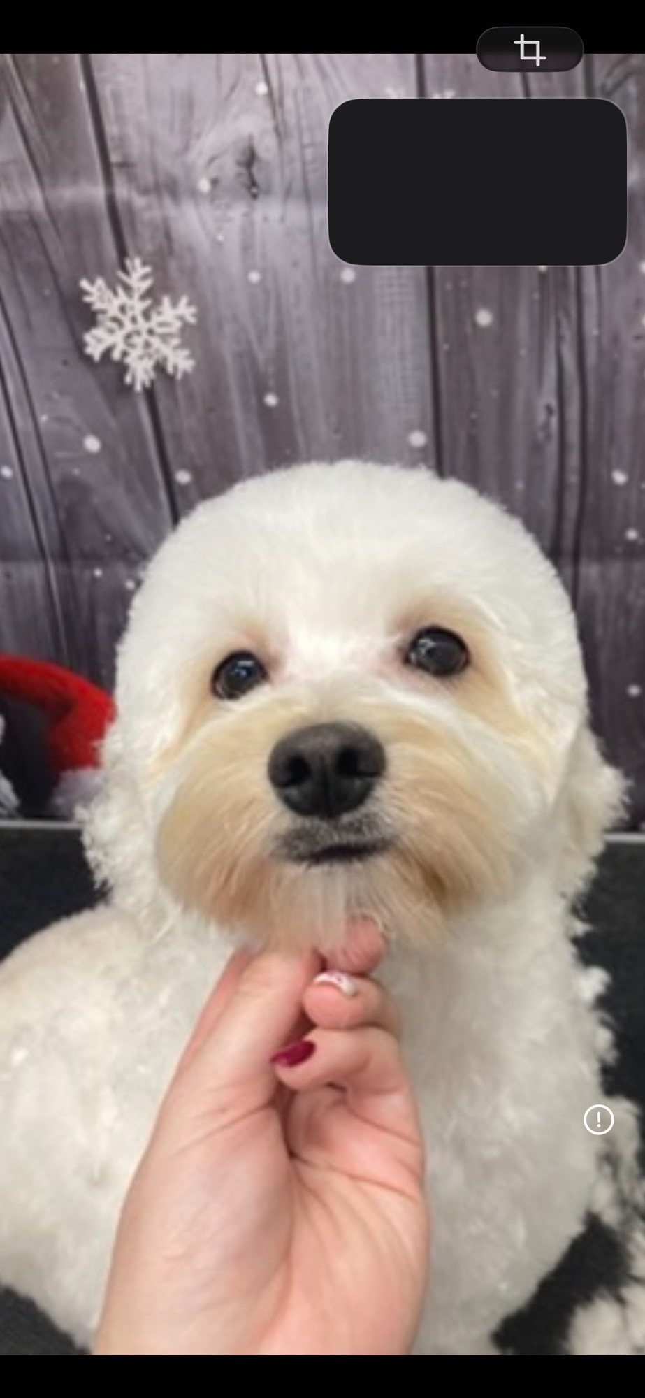 Révész Dalma galéria