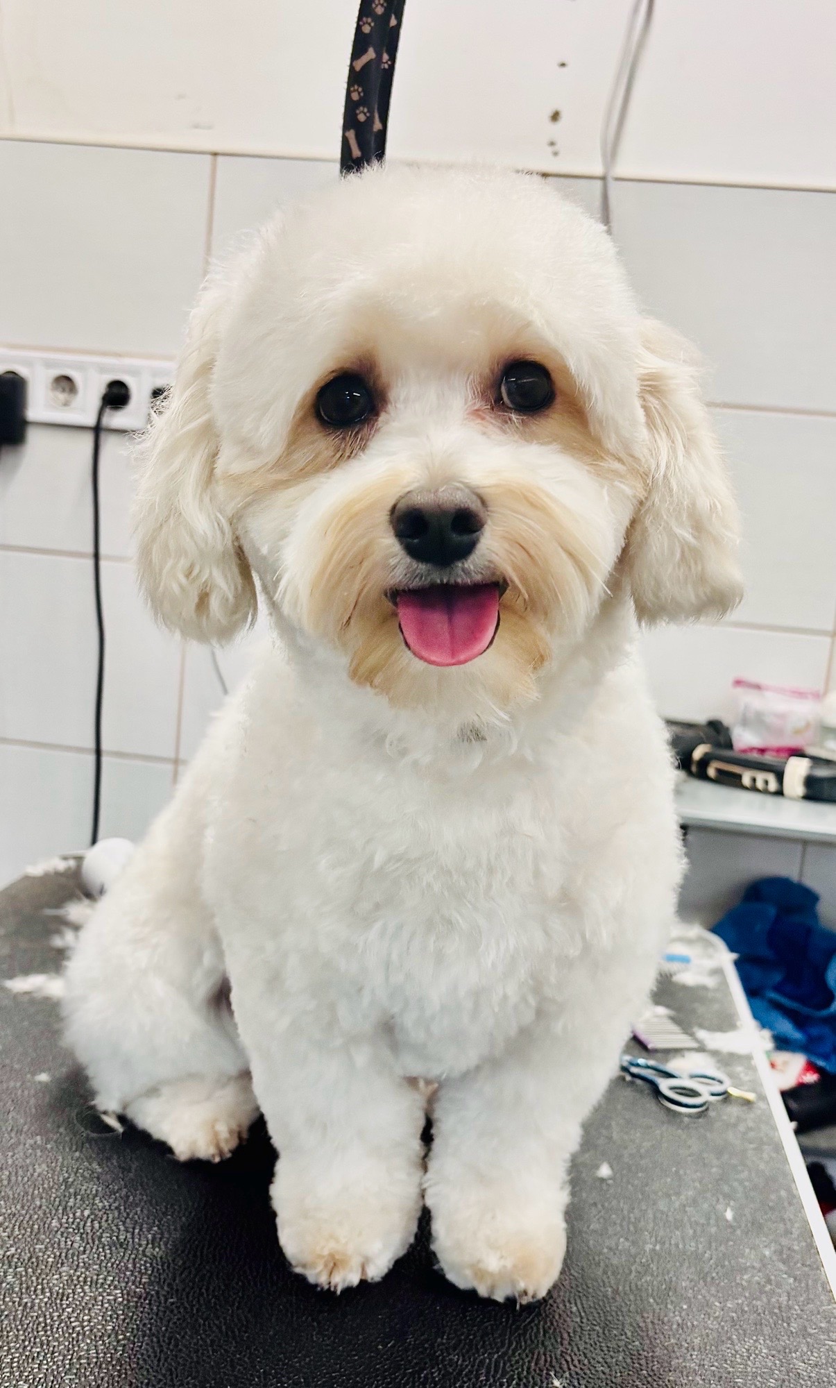 Révész Dalma galéria