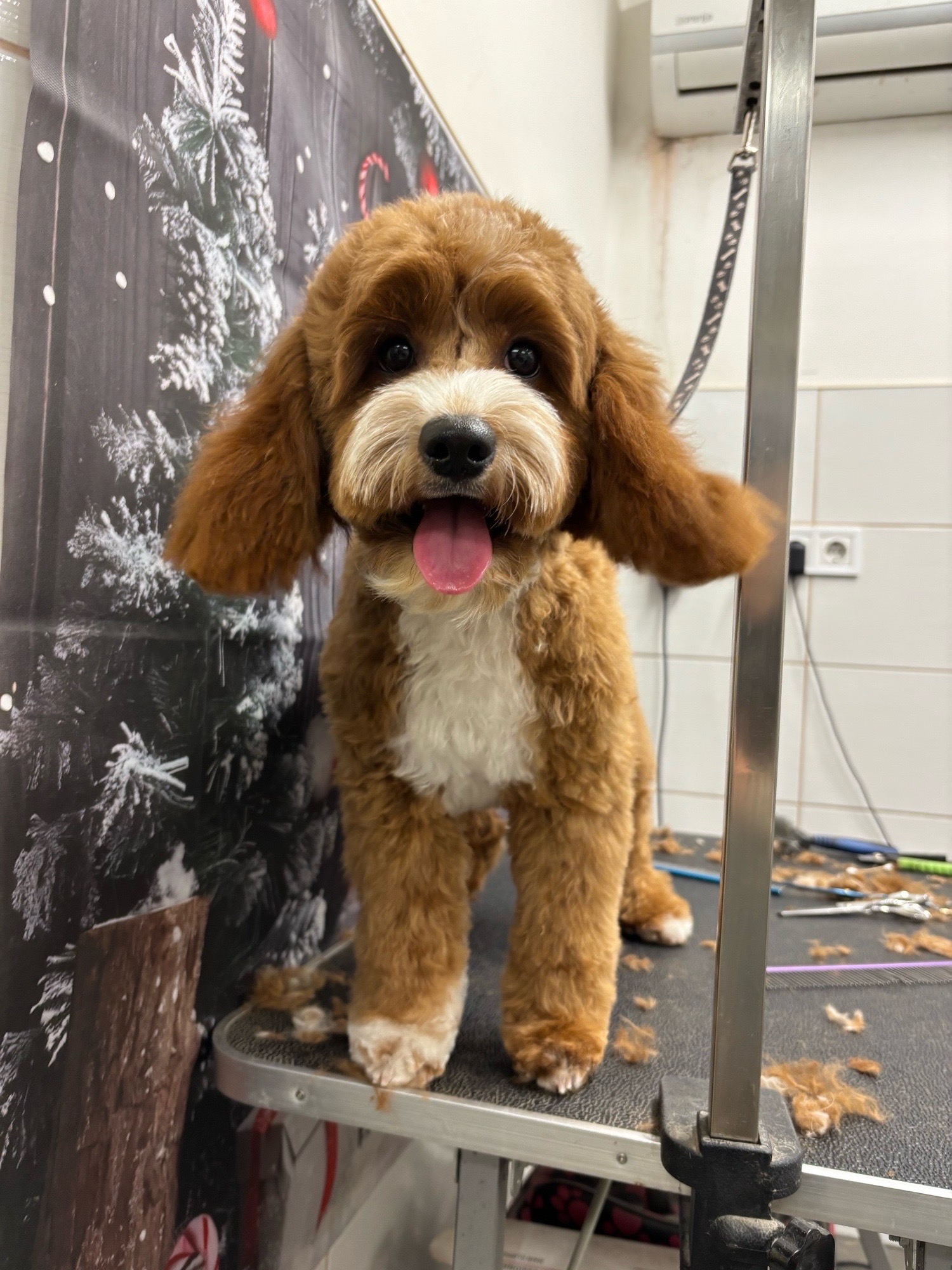 Révész Dalma galéria