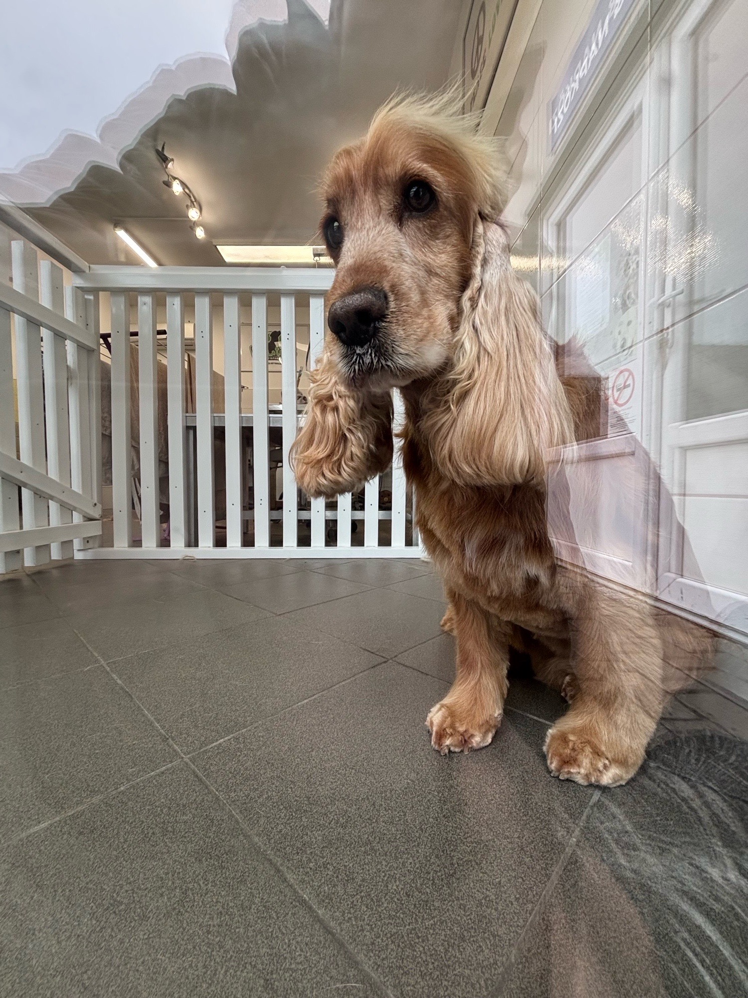 Révész Dalma galéria