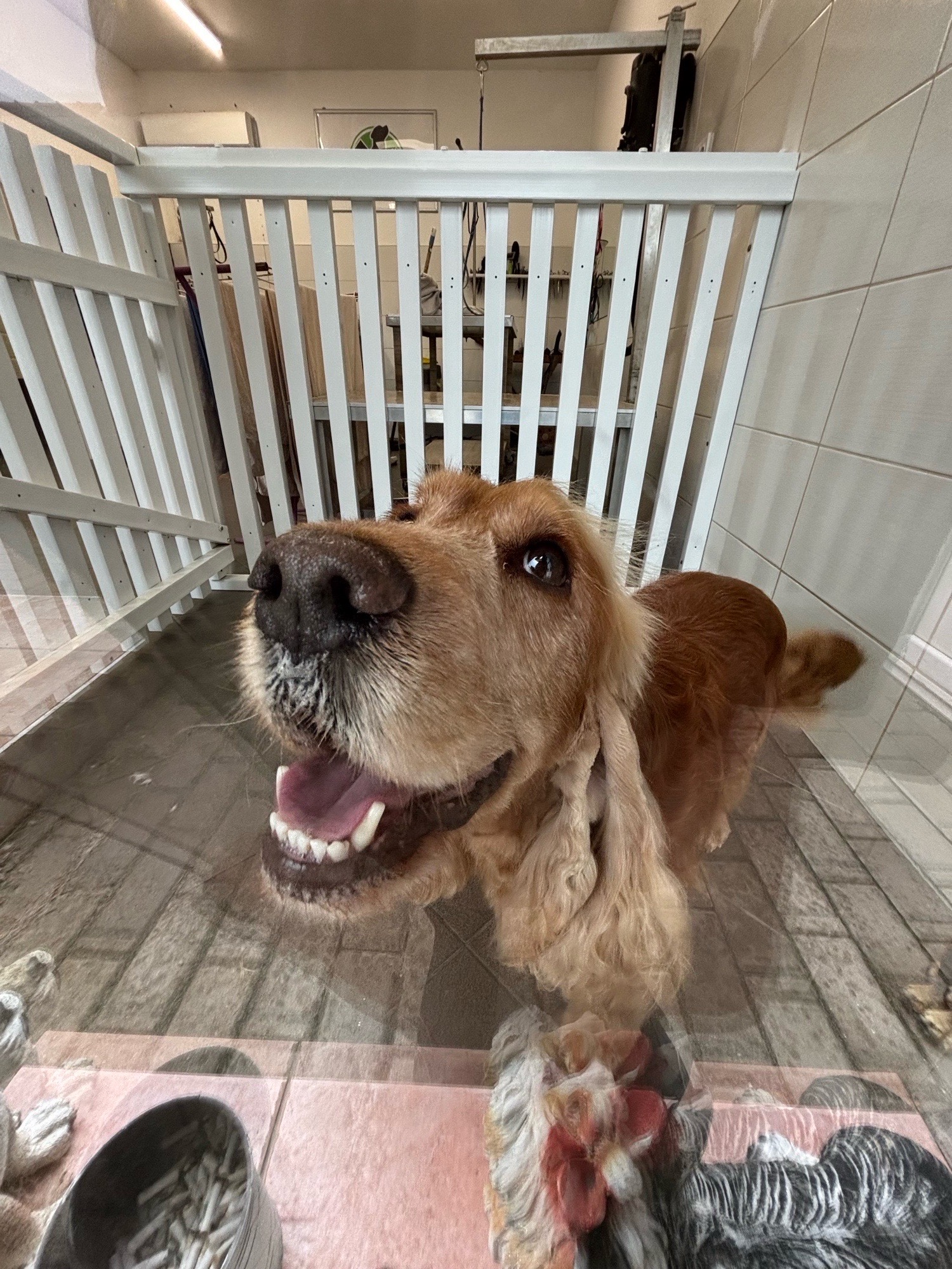 Révész Dalma galéria