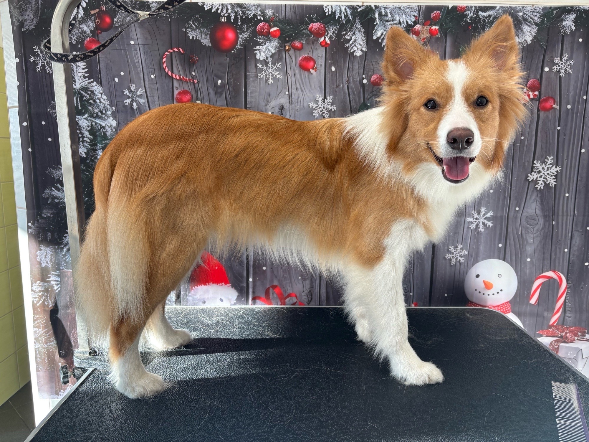 Révész Dalma galéria