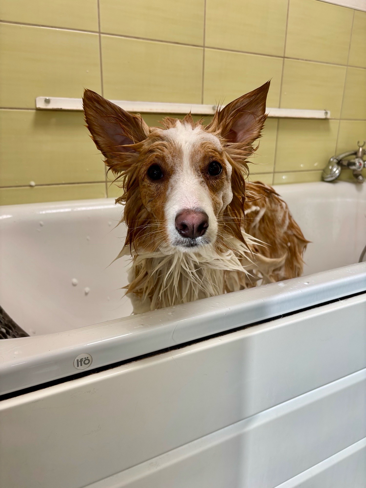 Révész Dalma galéria