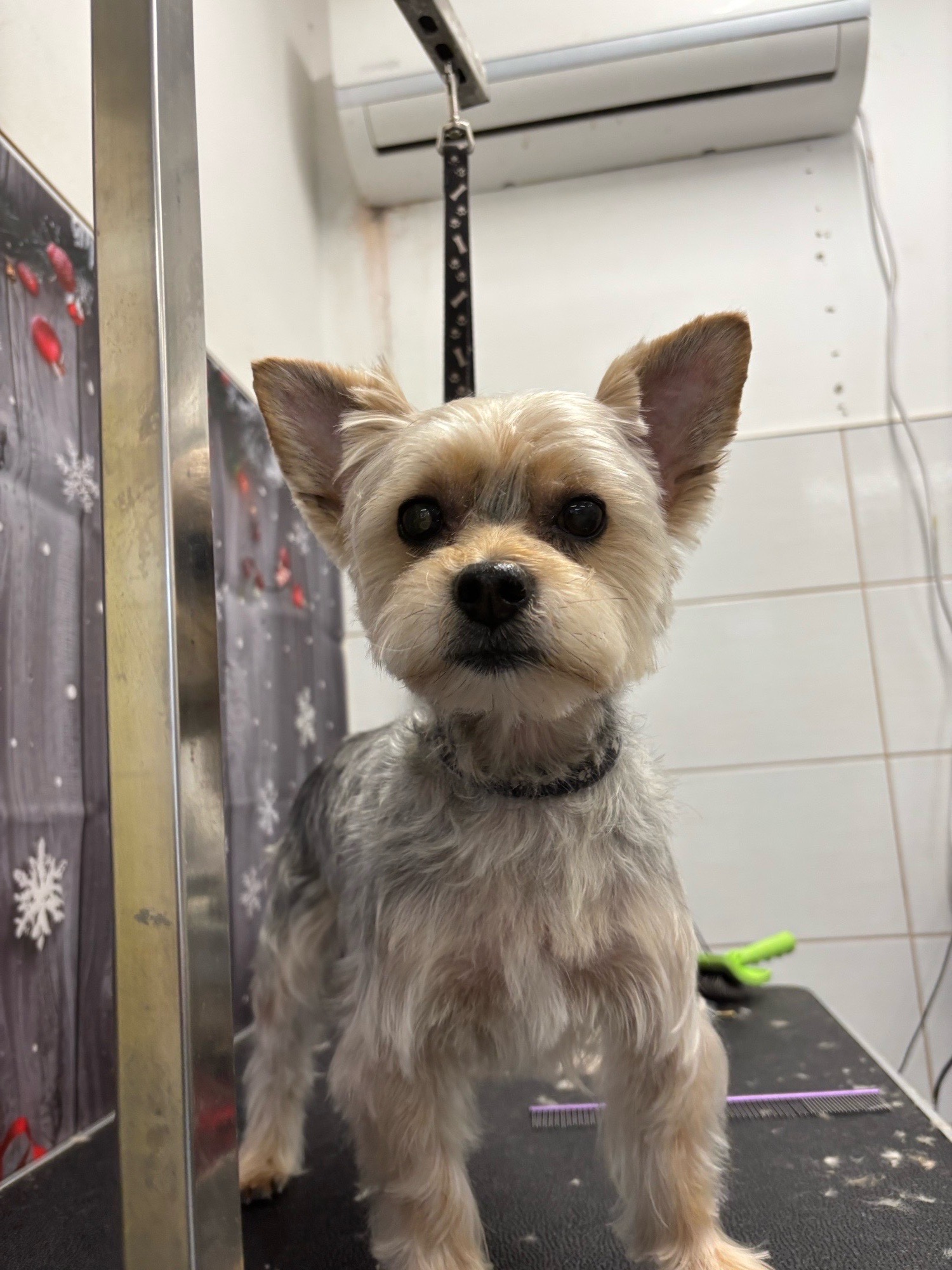 Révész Dalma galéria