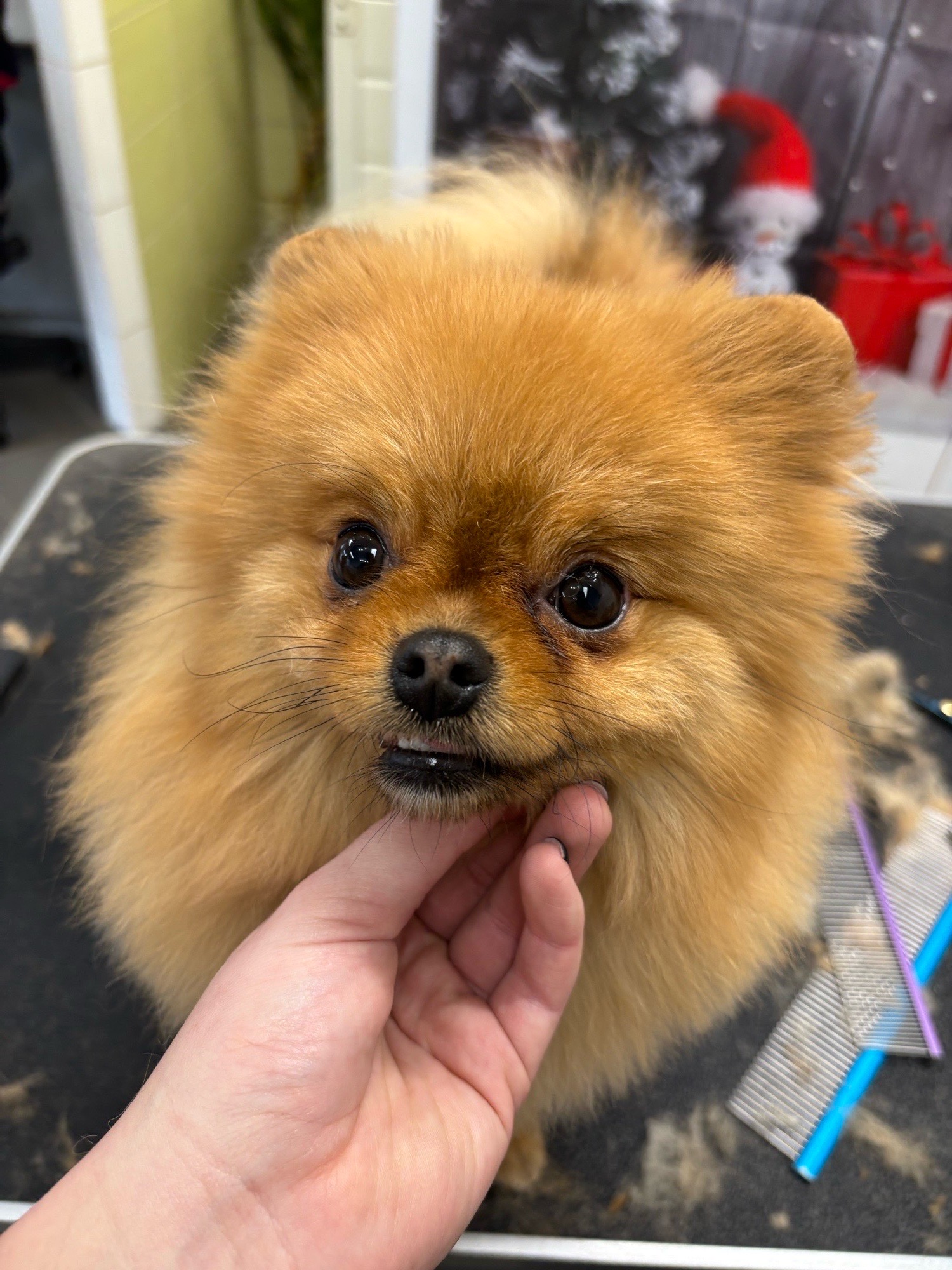 Révész Dalma galéria