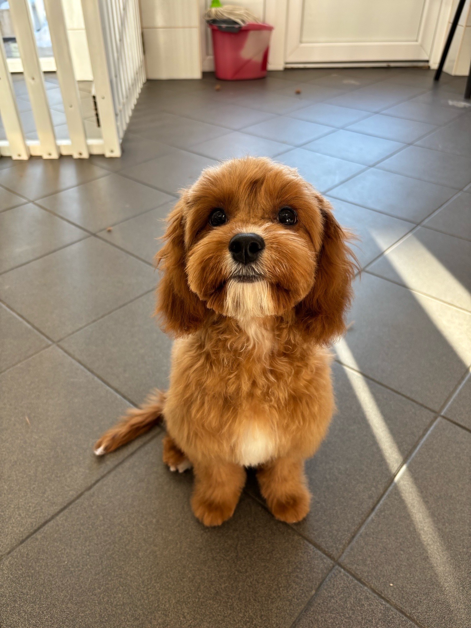 Révész Dalma galéria