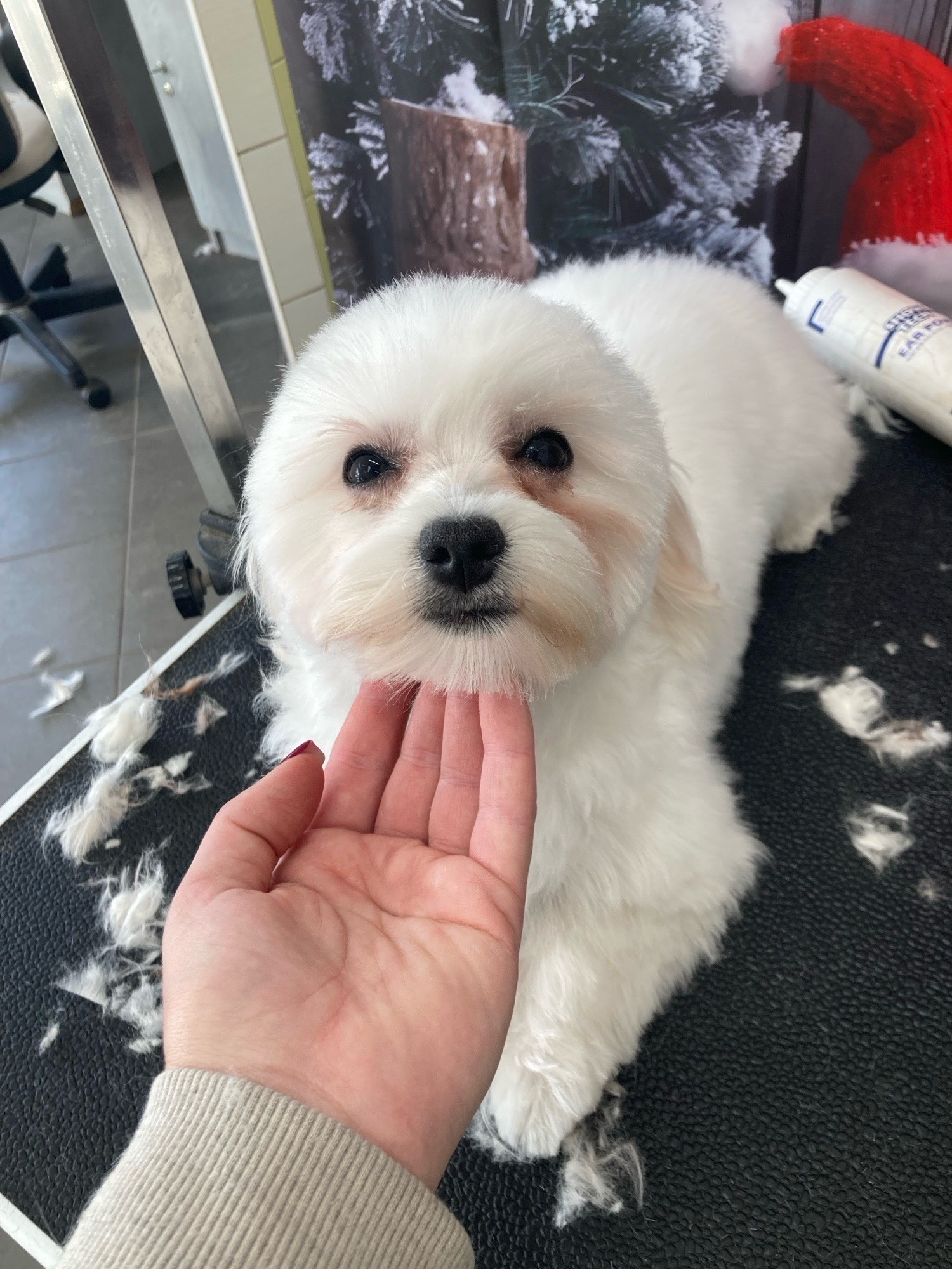 Révész Dalma galéria