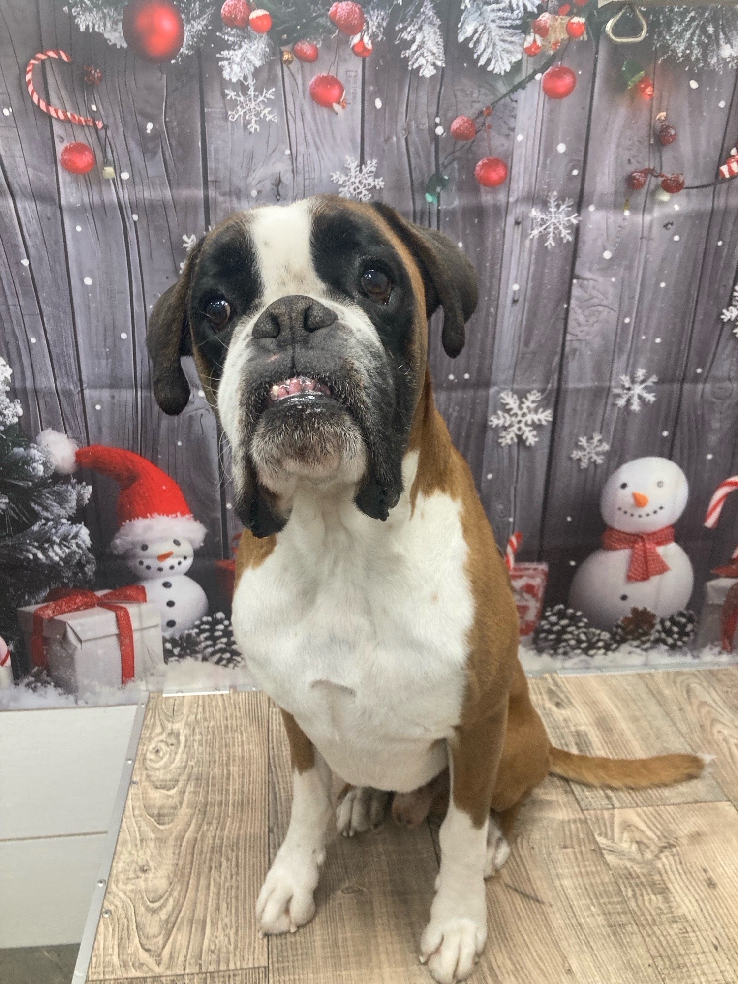 Révész Dalma galéria