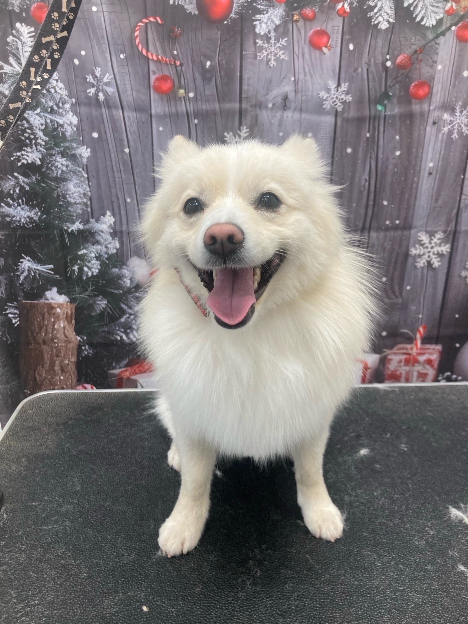 Révész Dalma galéria