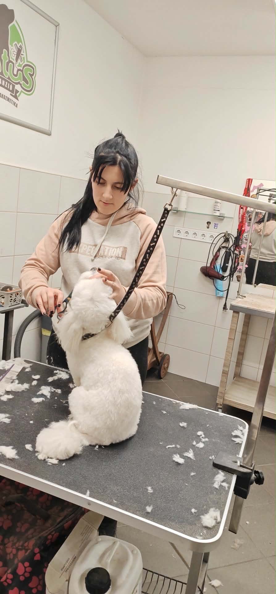 Révész Dalma galéria