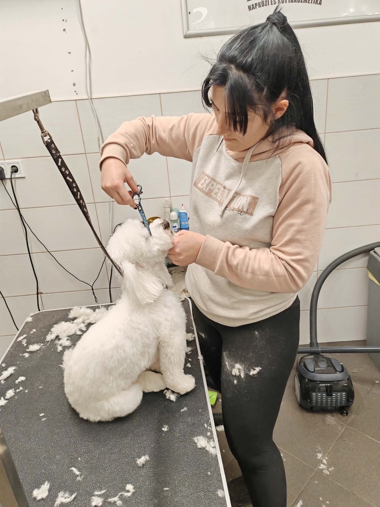 Révész Dalma galéria