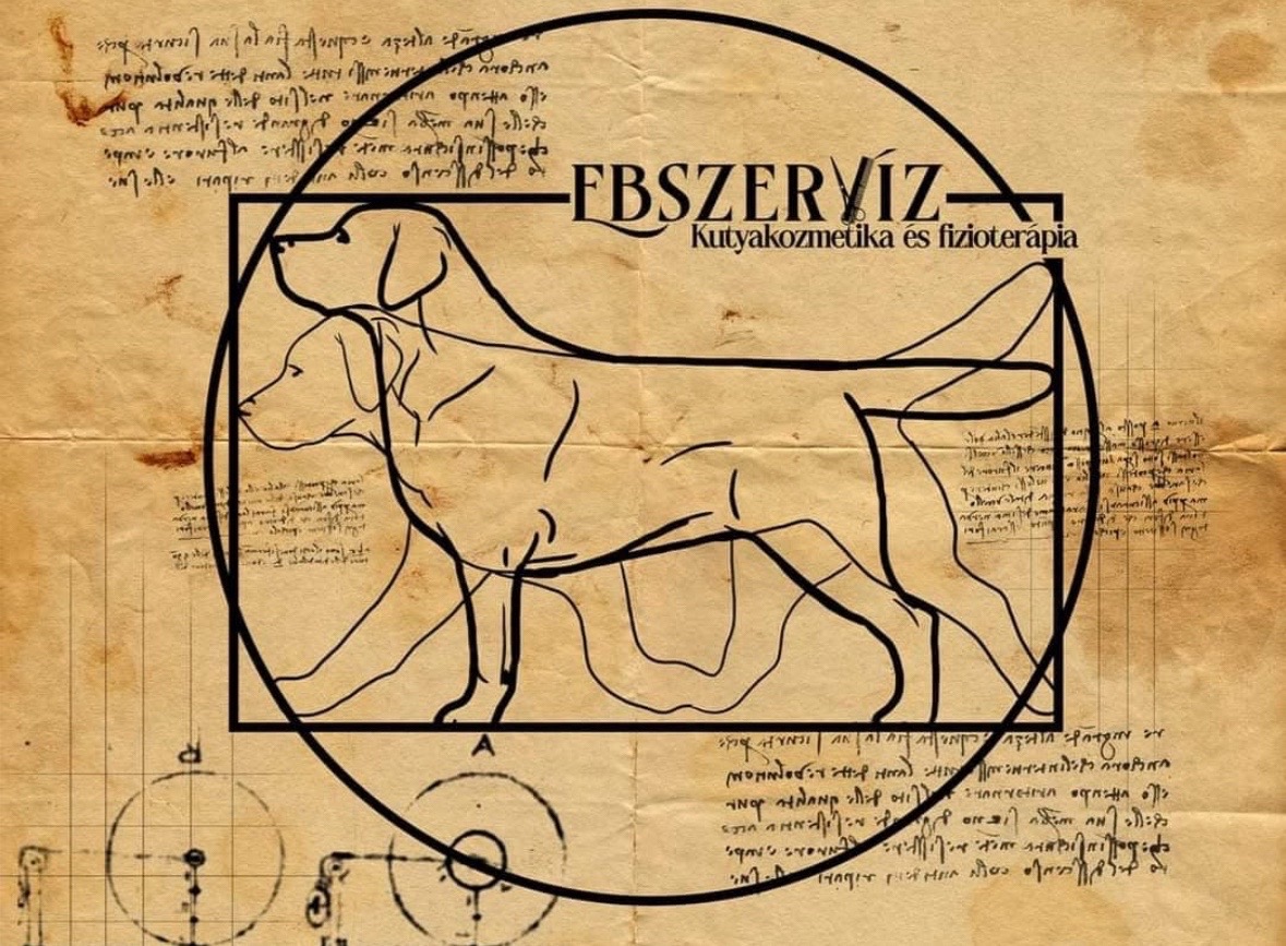 Szóládiné Mohai Katalin