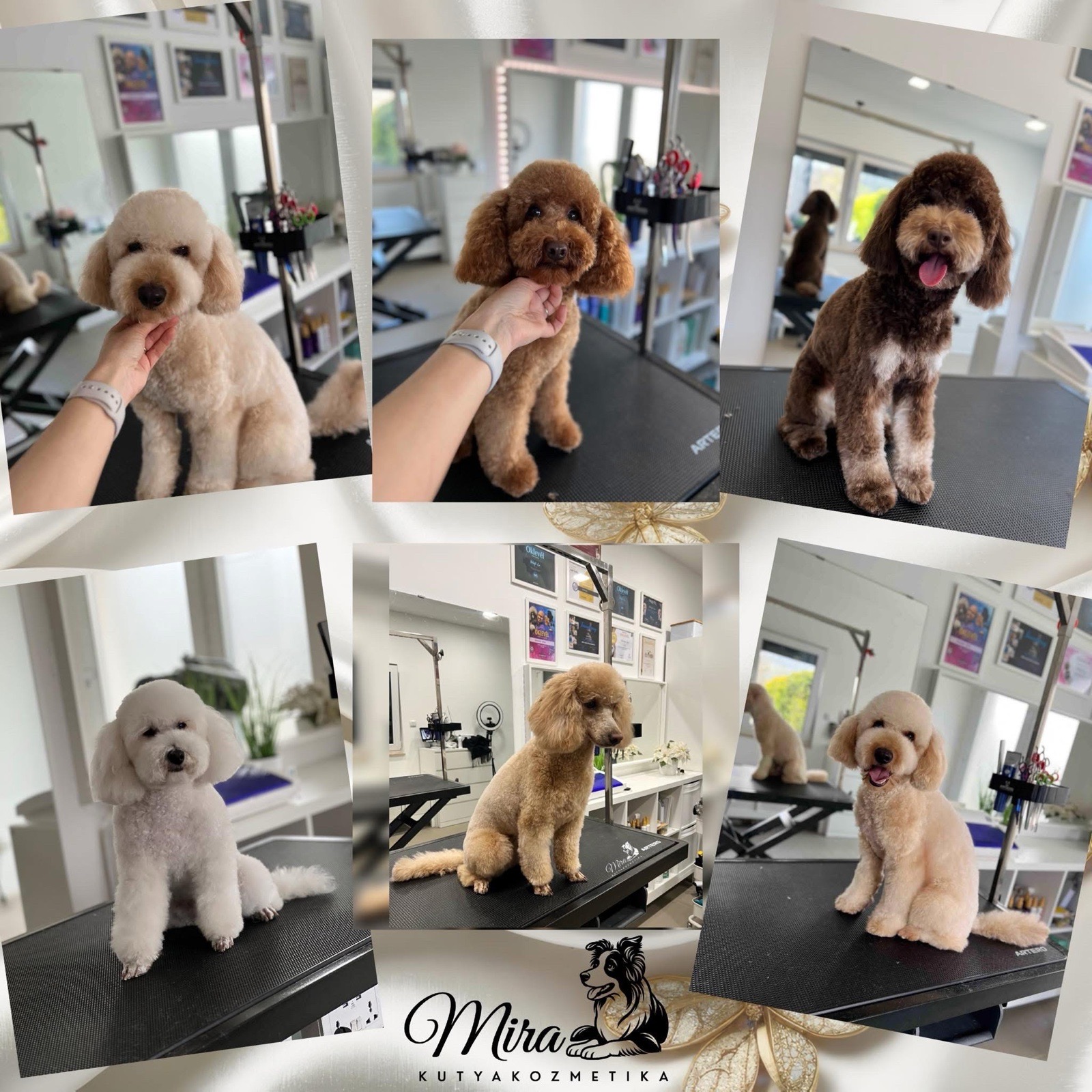 Mira kutyakozmetika-óbuda