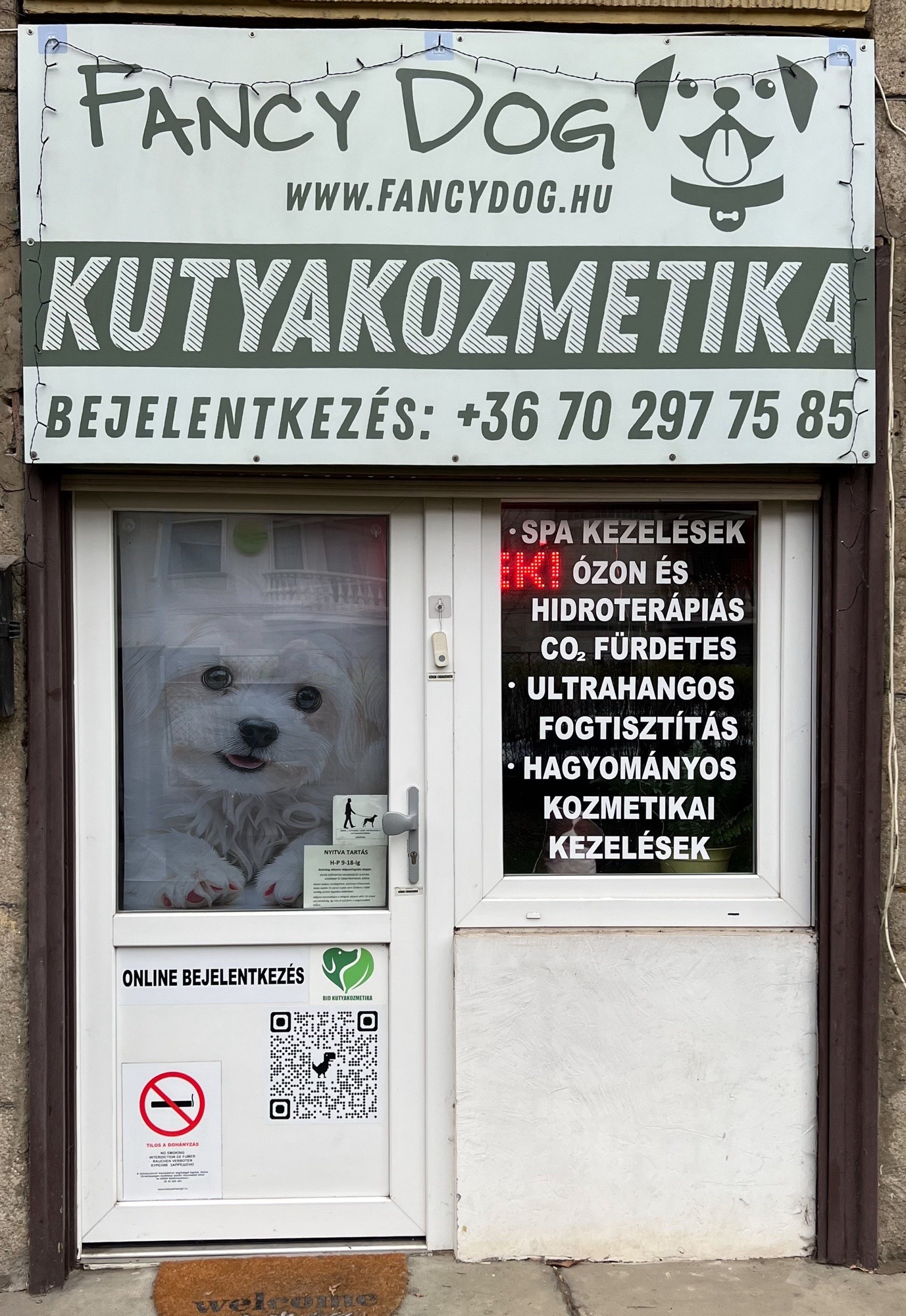 Fancy Dog Spa és kutyakozmetika galéria