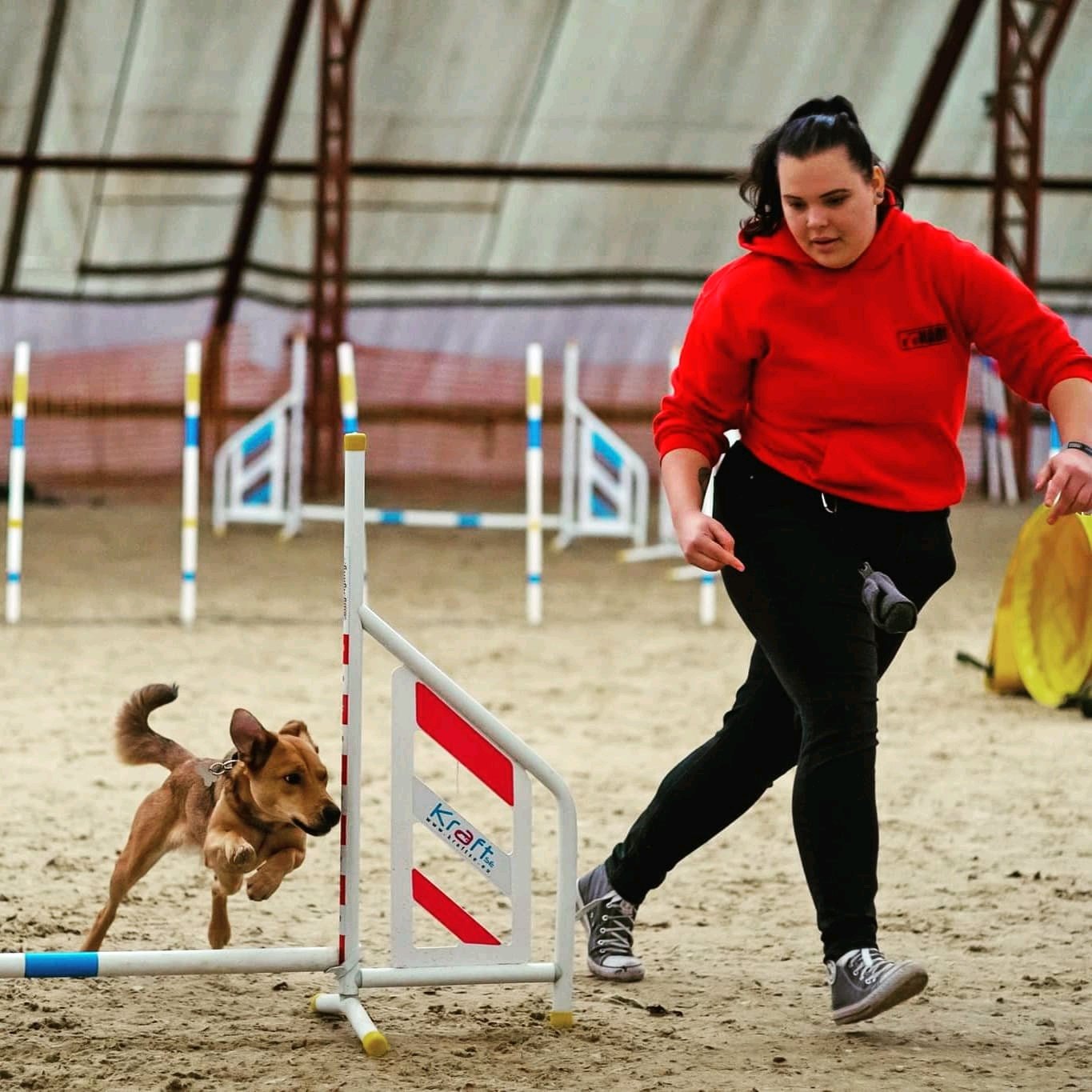 Titánia Csiki galéria