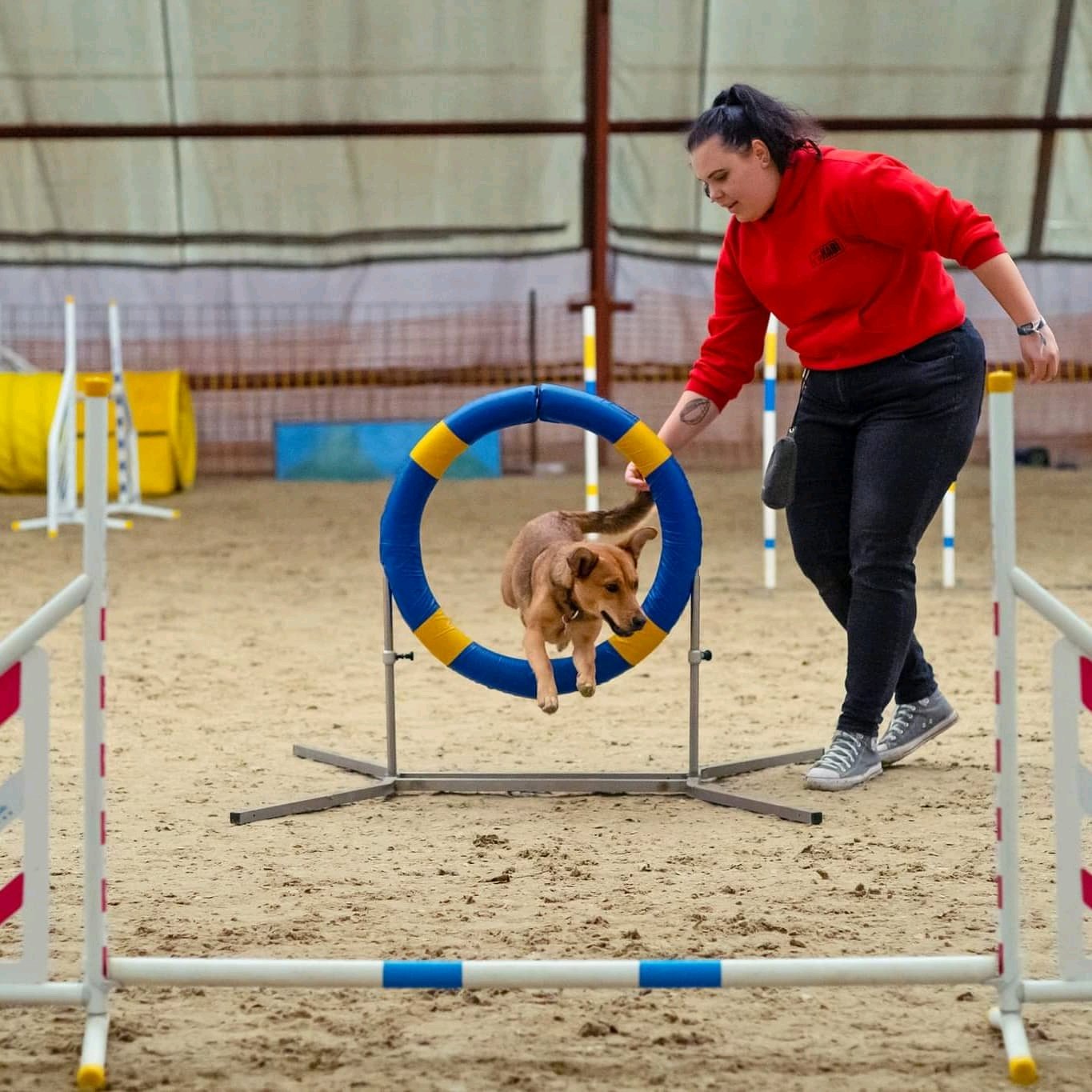 Titánia Csiki galéria