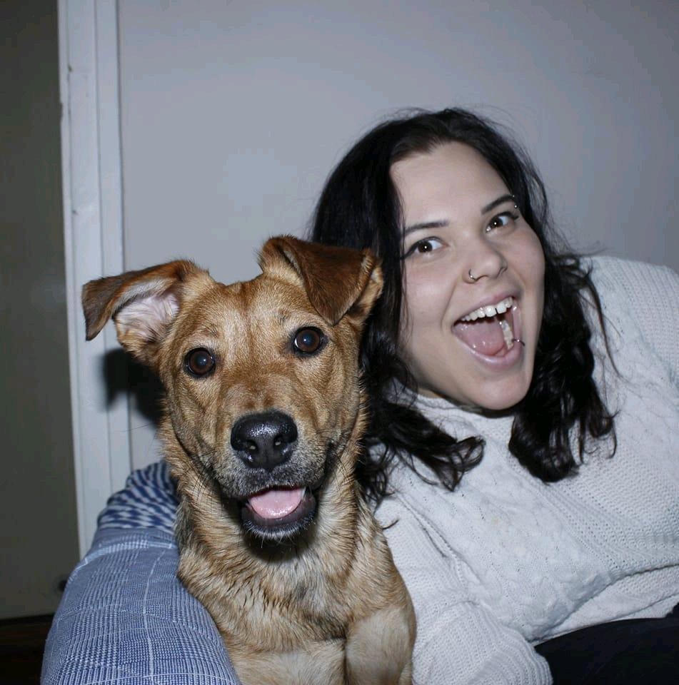 Titánia Csiki galéria