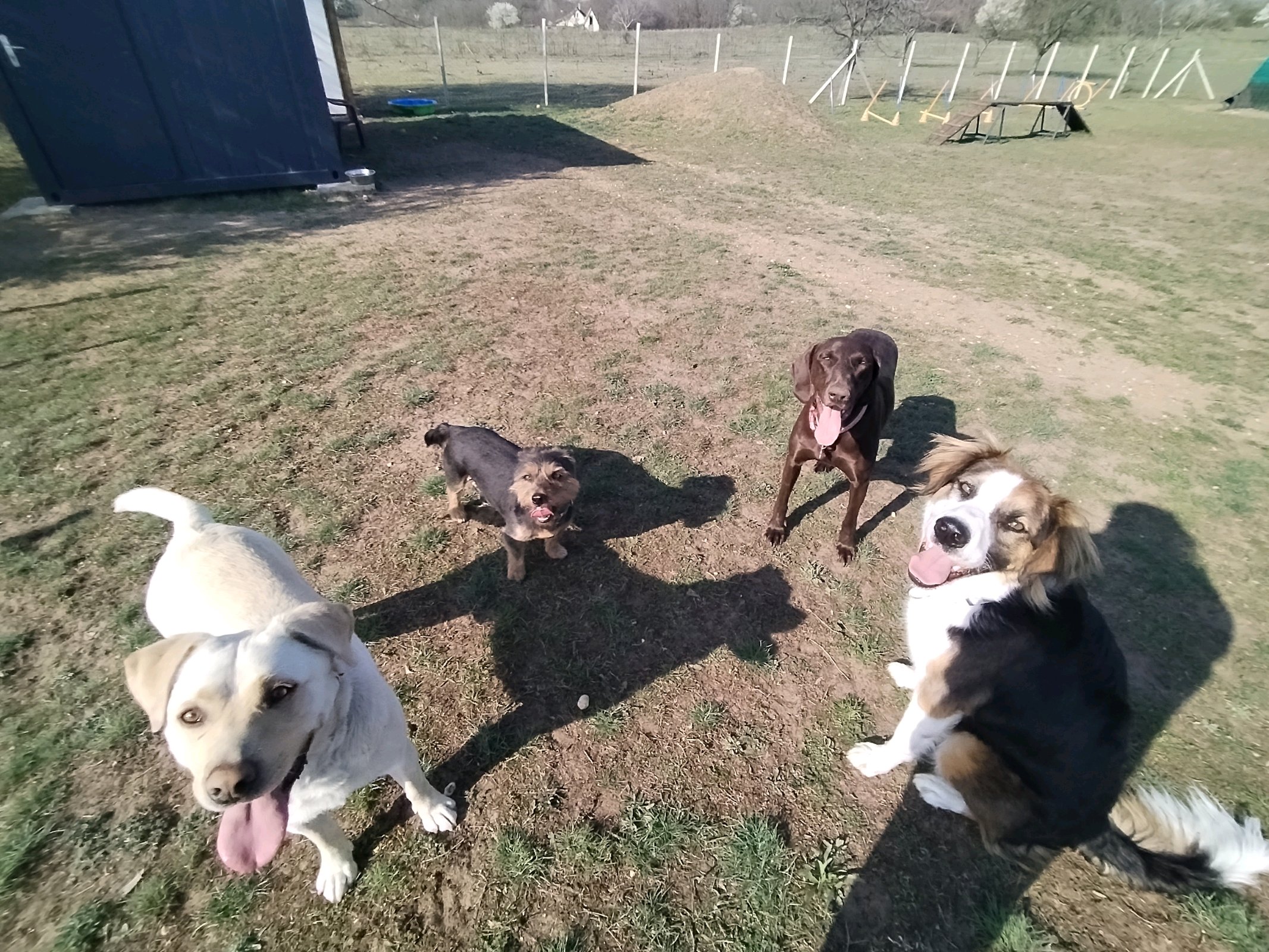 Eszter Katona galéria