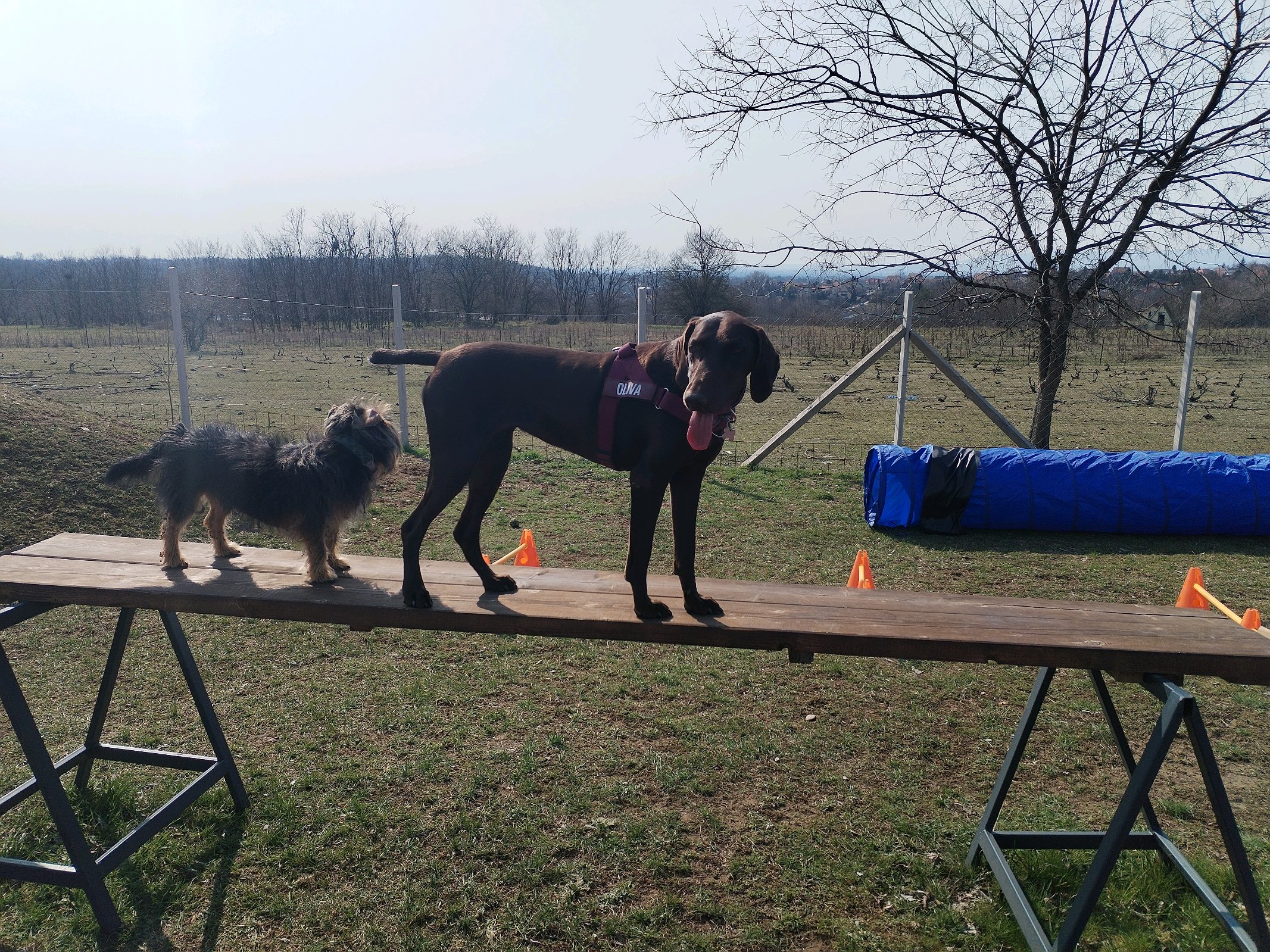 Eszter Katona galéria