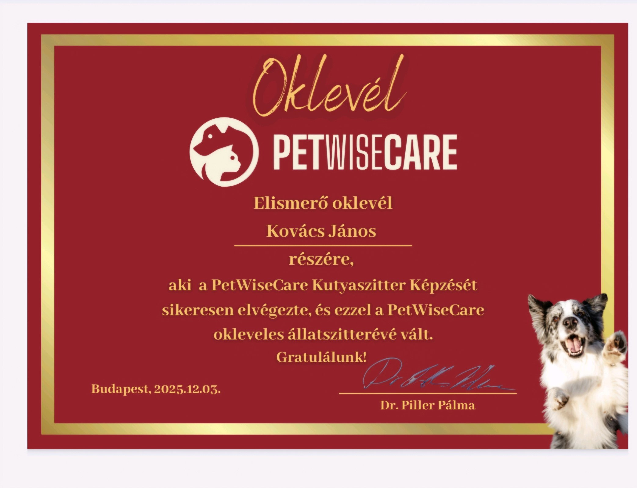 Kovács Janos galéria