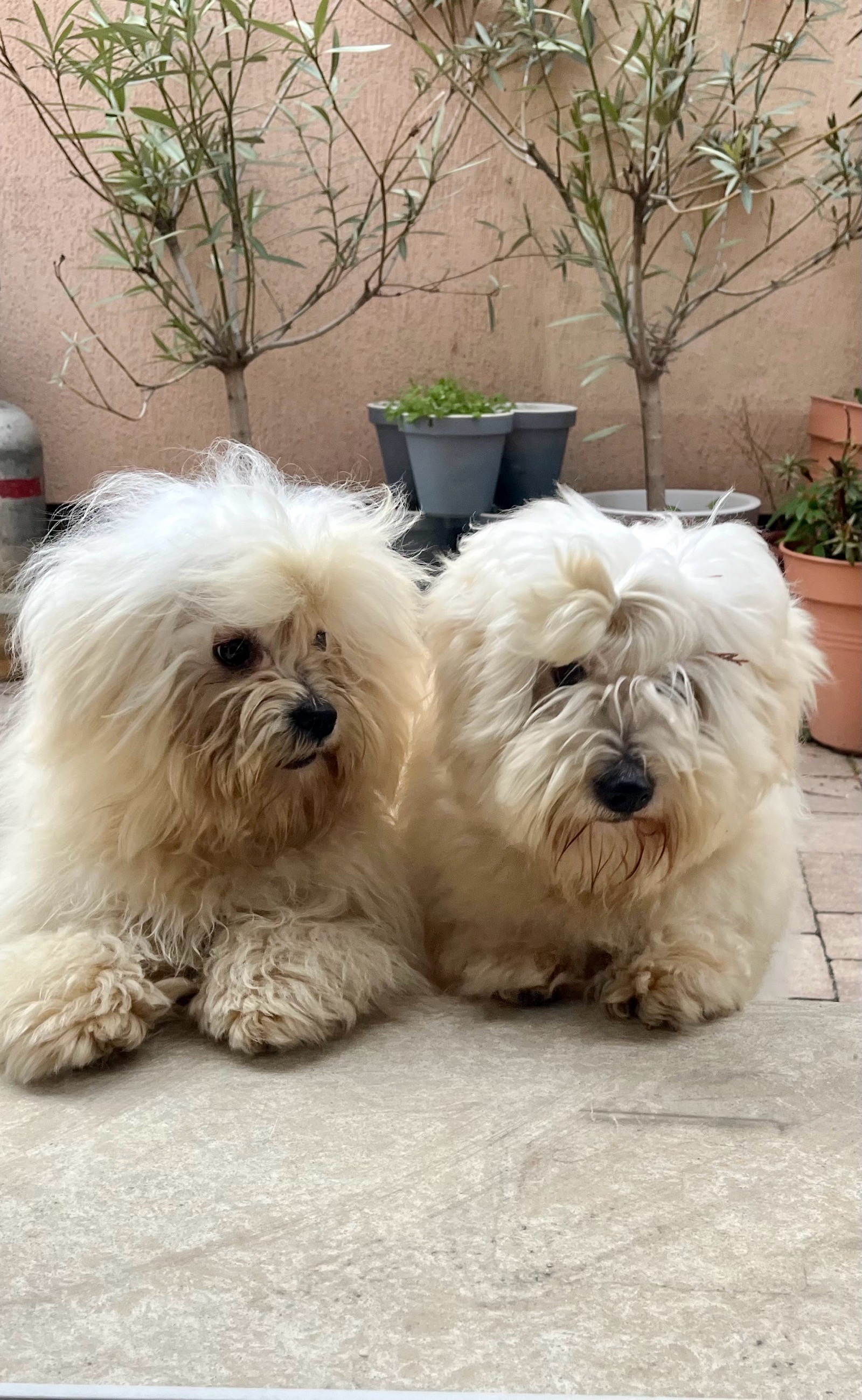 Livia Eszter Solymos galéria